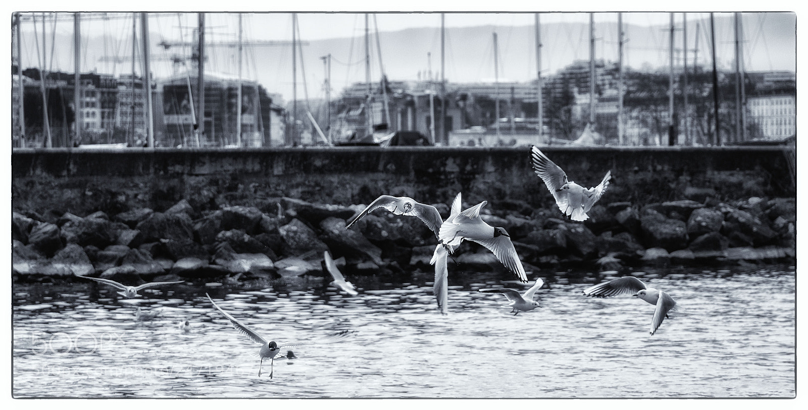 Canon EOS 60D sample photo. Untitled photography