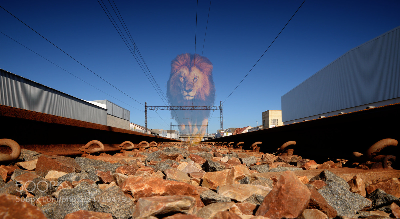 Nikon D610 sample photo. Lionghost on the tracks photography
