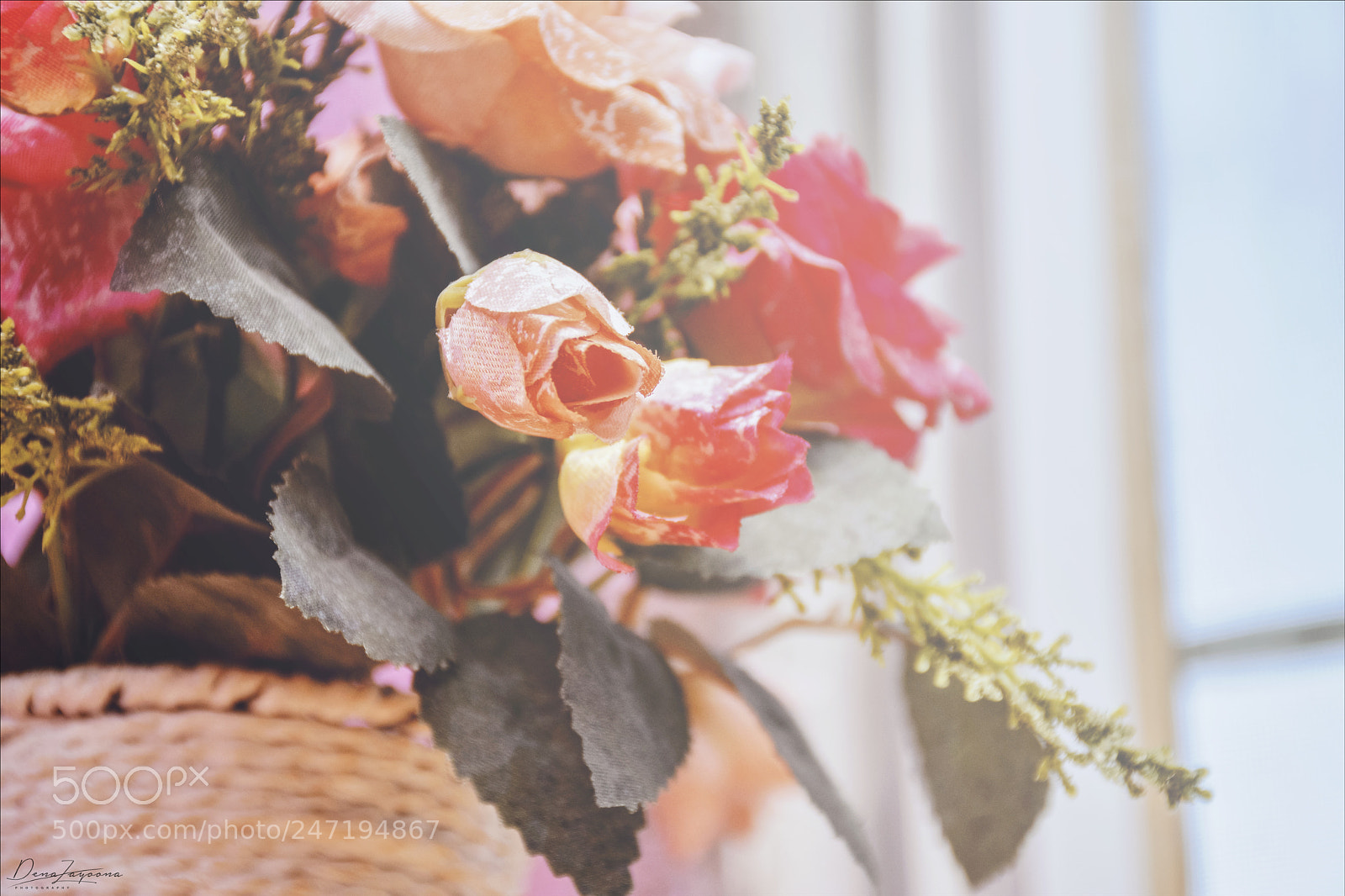 Nikon D7100 sample photo. Flower photography