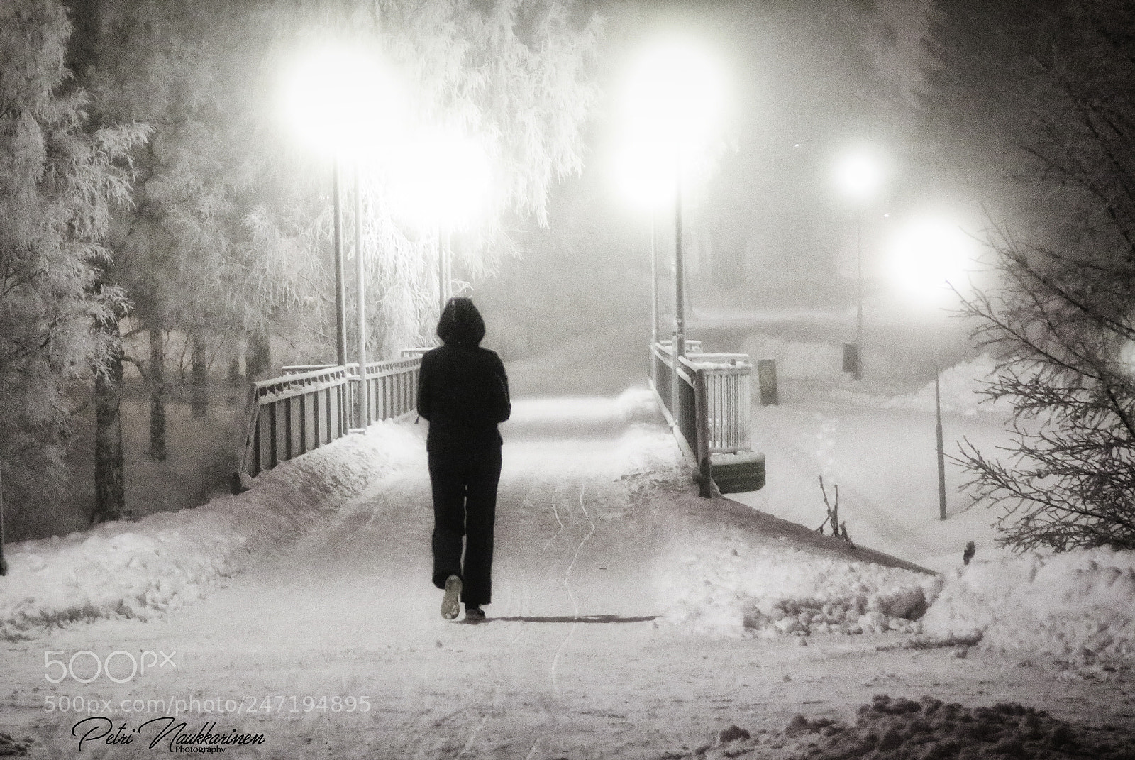 Canon EOS 7D Mark II sample photo. Freezing cold photography