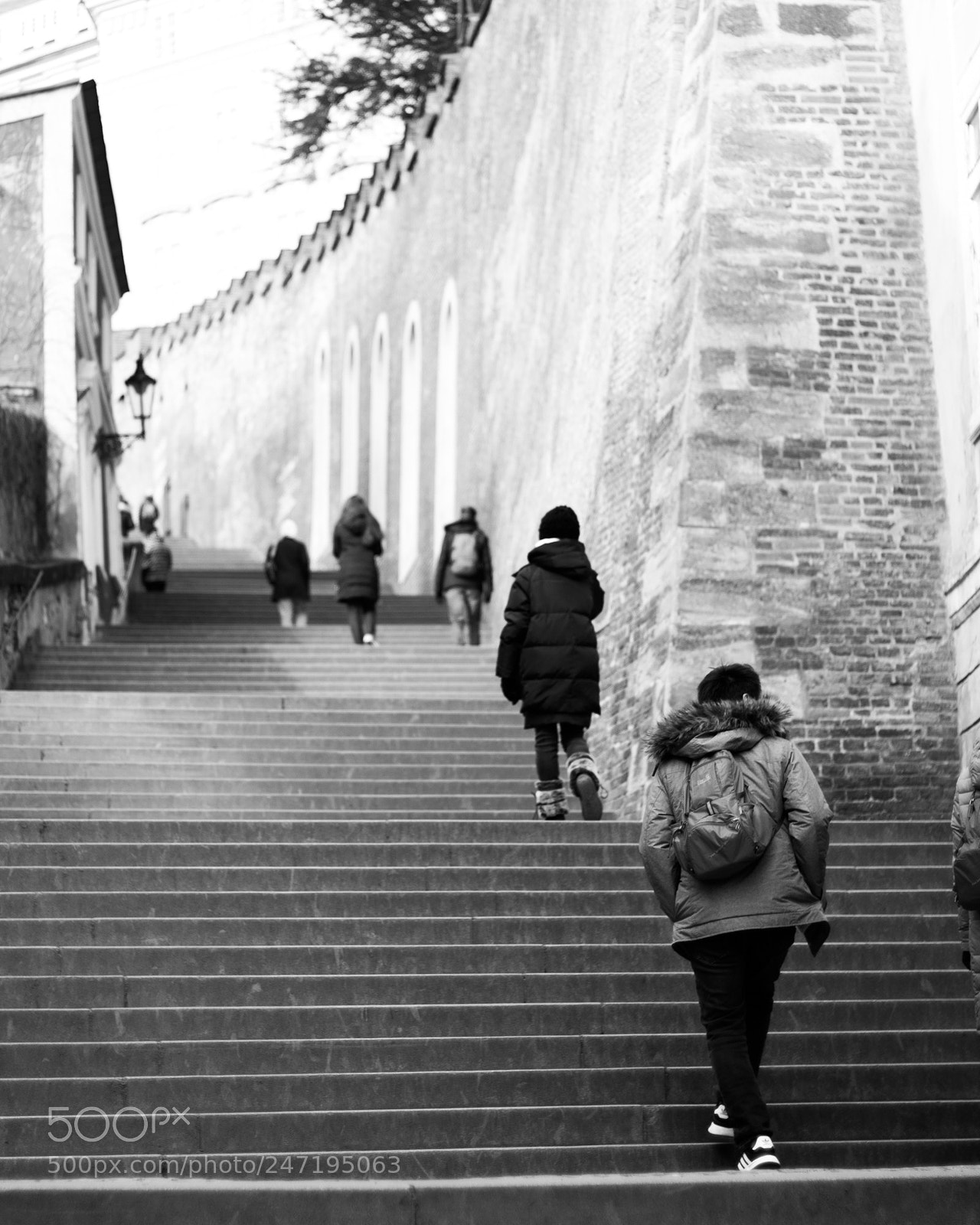 Canon EOS 1300D (EOS Rebel T6 / EOS Kiss X80) sample photo. Up the hill photography