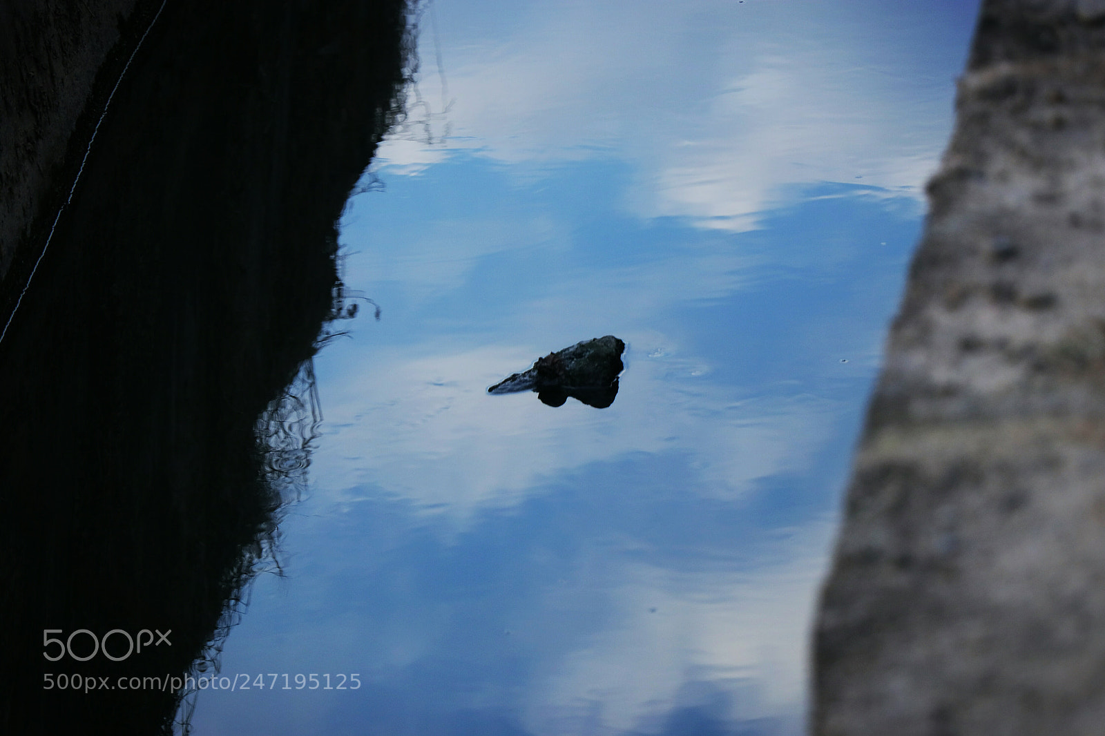 Canon EOS 80D sample photo. Untitled photography