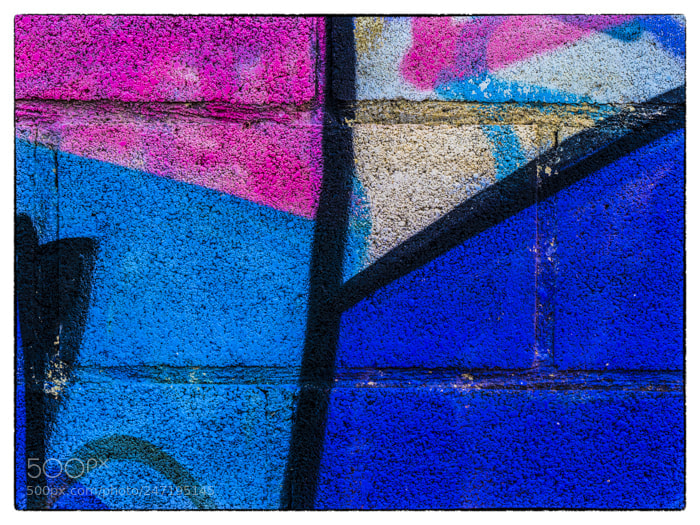 Olympus OM-D E-M1 Mark II sample photo. . photography