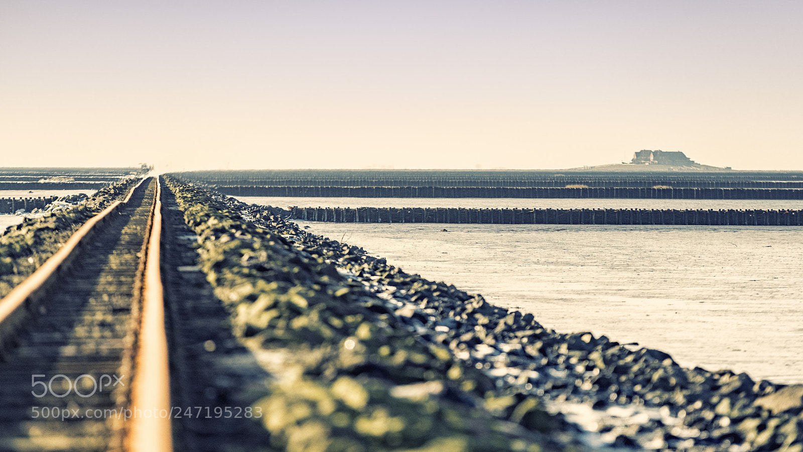 Nikon D850 sample photo. German west coast tracks photography
