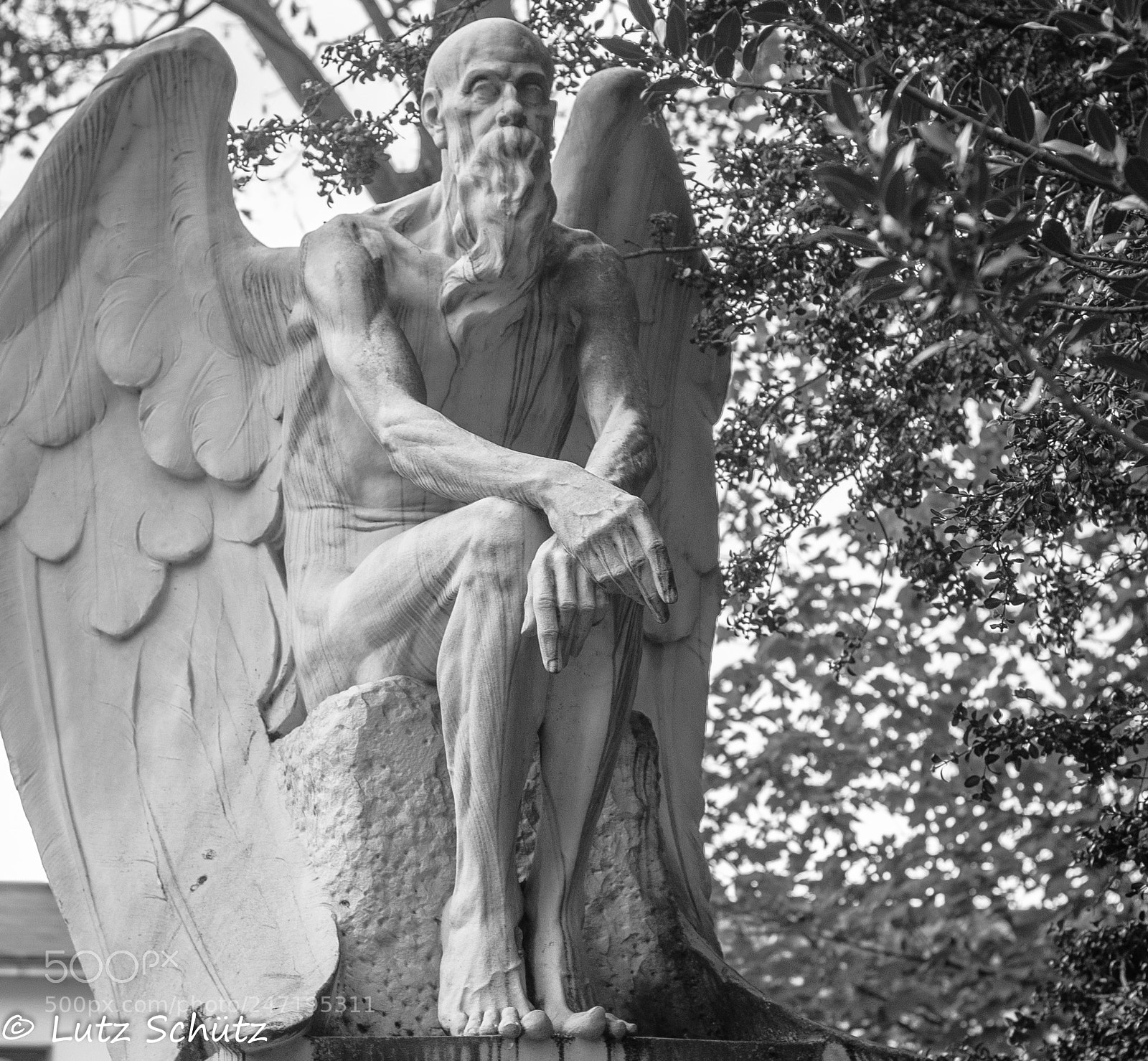Nikon D5100 sample photo. Chronos photography