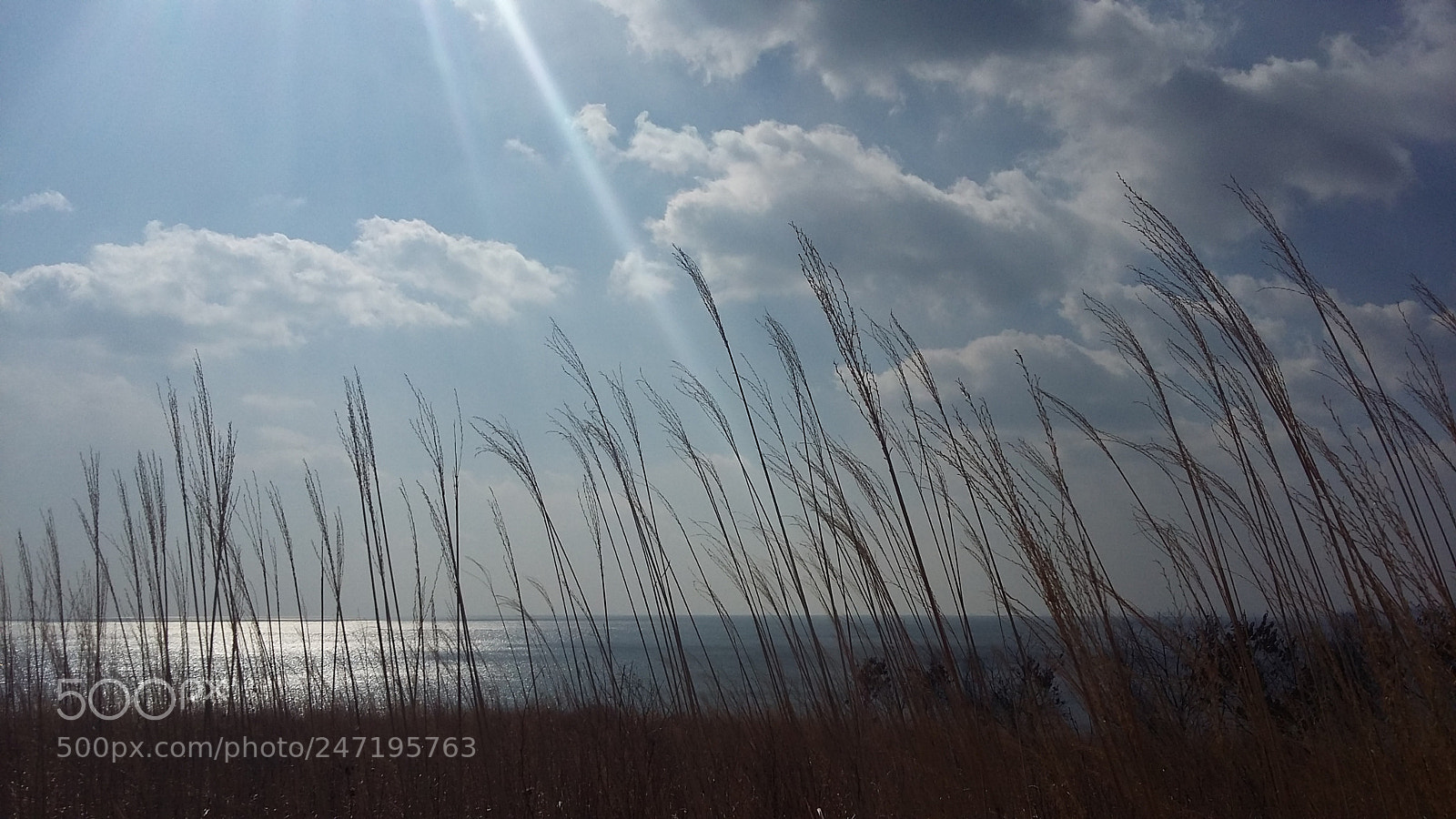 Samsung Galaxy A3 sample photo. 20180224_132854.jpg photography