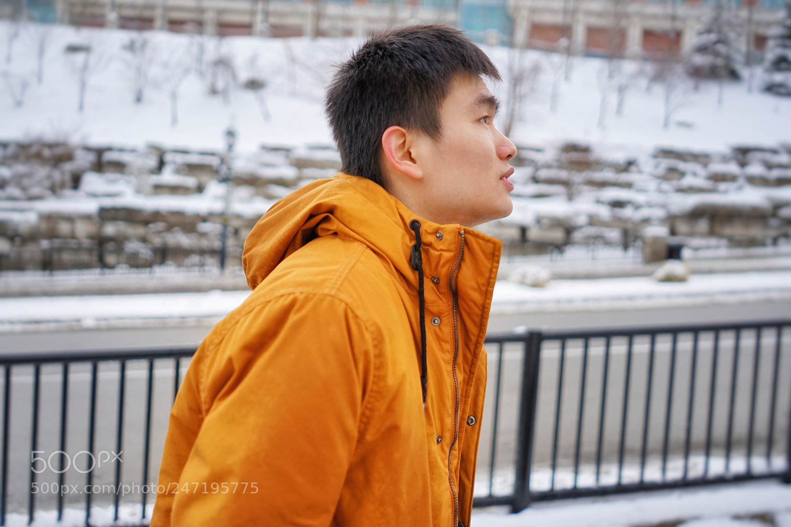 Sony a7 II sample photo. Untitled photography