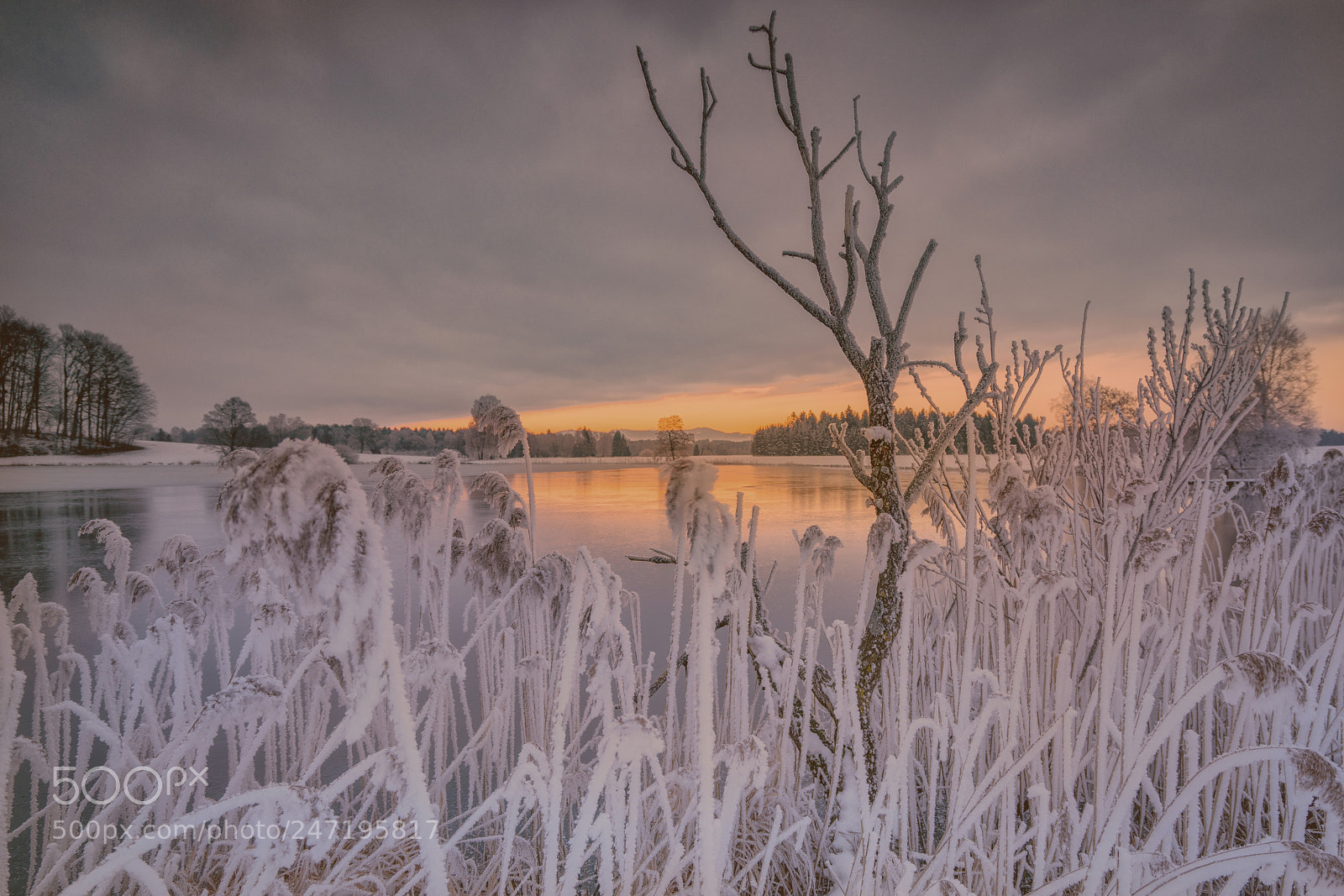 Sony a7R II sample photo. Egelsee -sbg photography