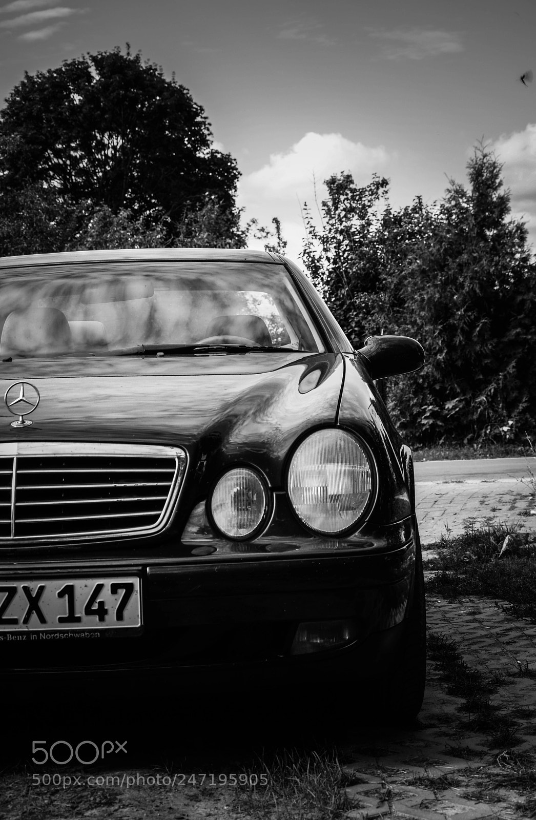 Nikon D5200 sample photo. Eye of the tiger photography