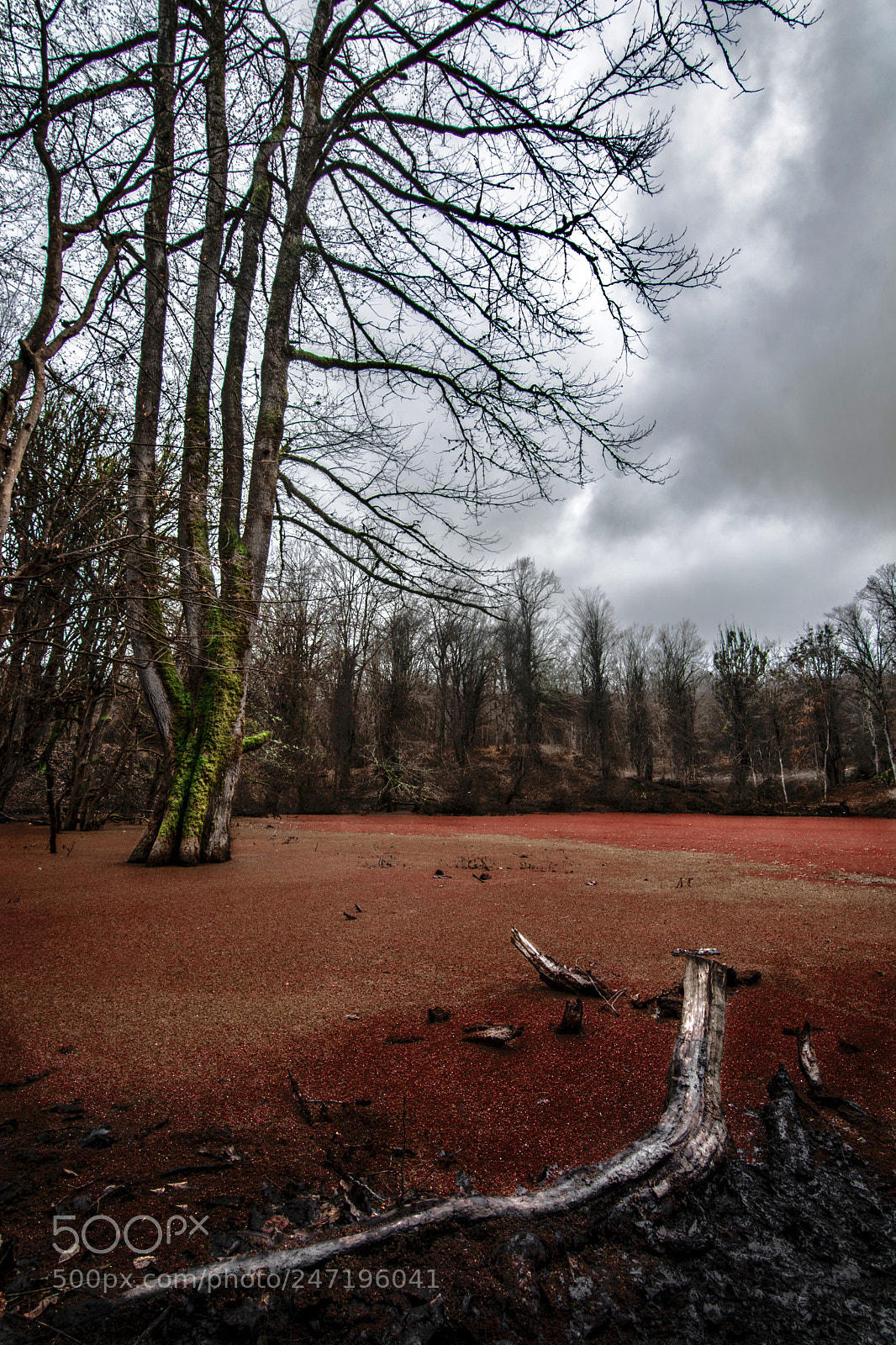 Nikon D7100 sample photo. Iran , mazandaran photography