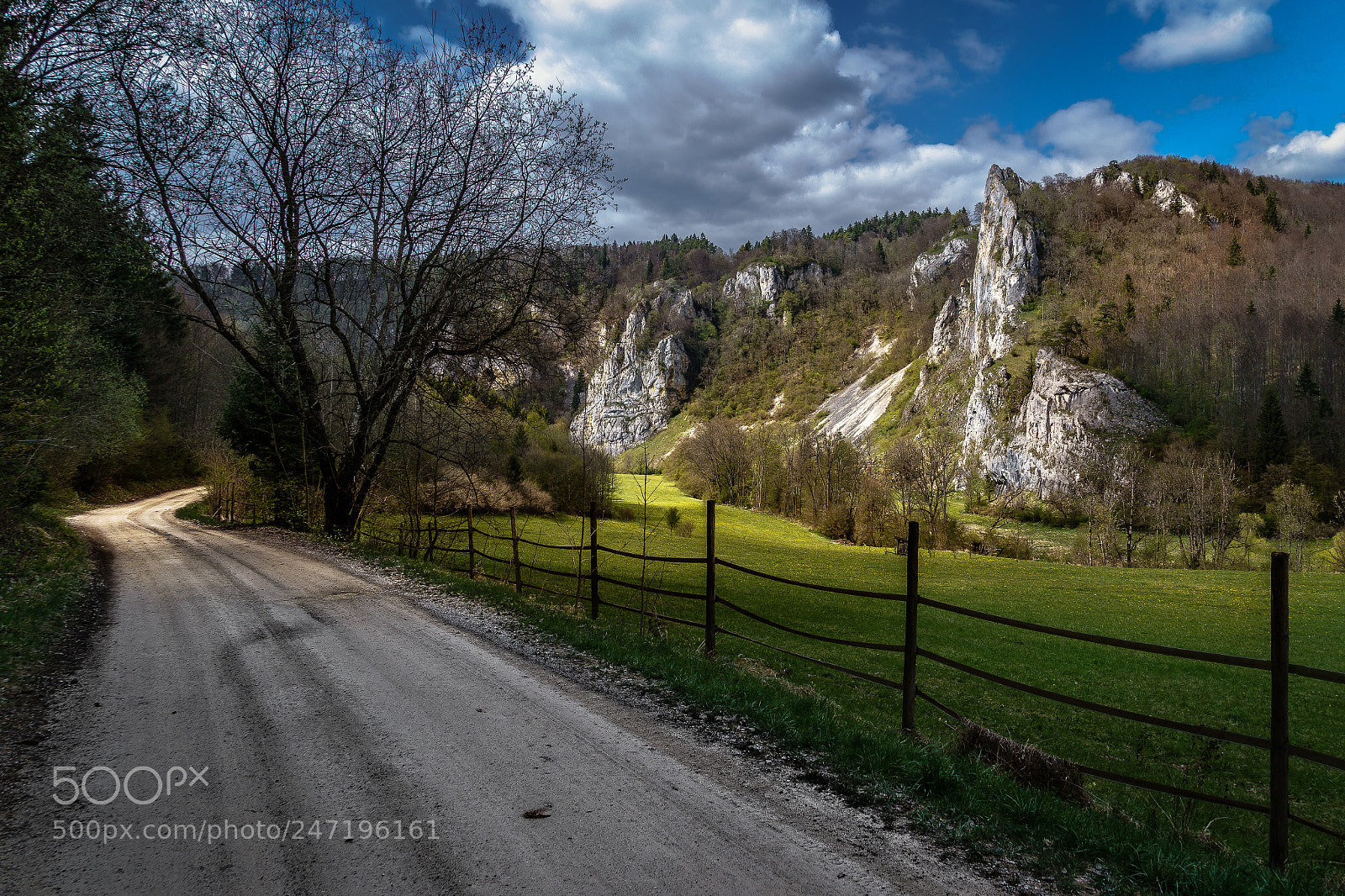 Sony a7 II sample photo. Felsenreich photography