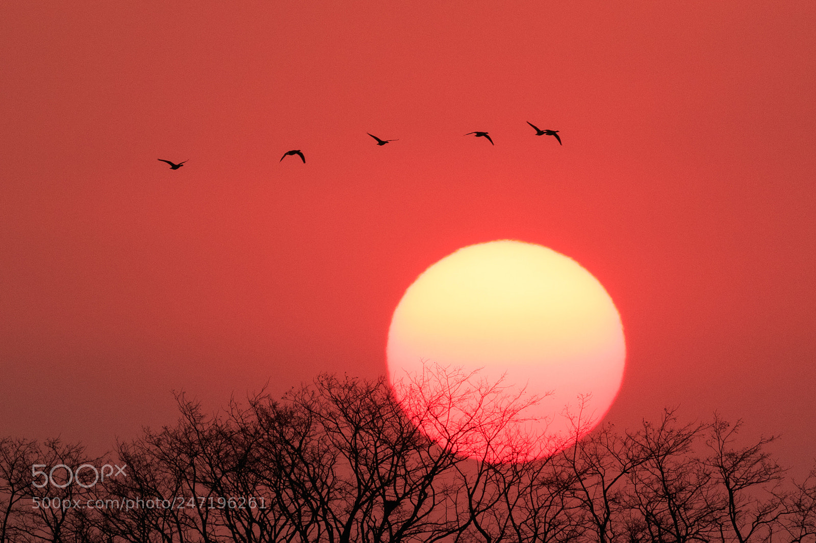Canon EOS 7D Mark II sample photo. Sunset photography