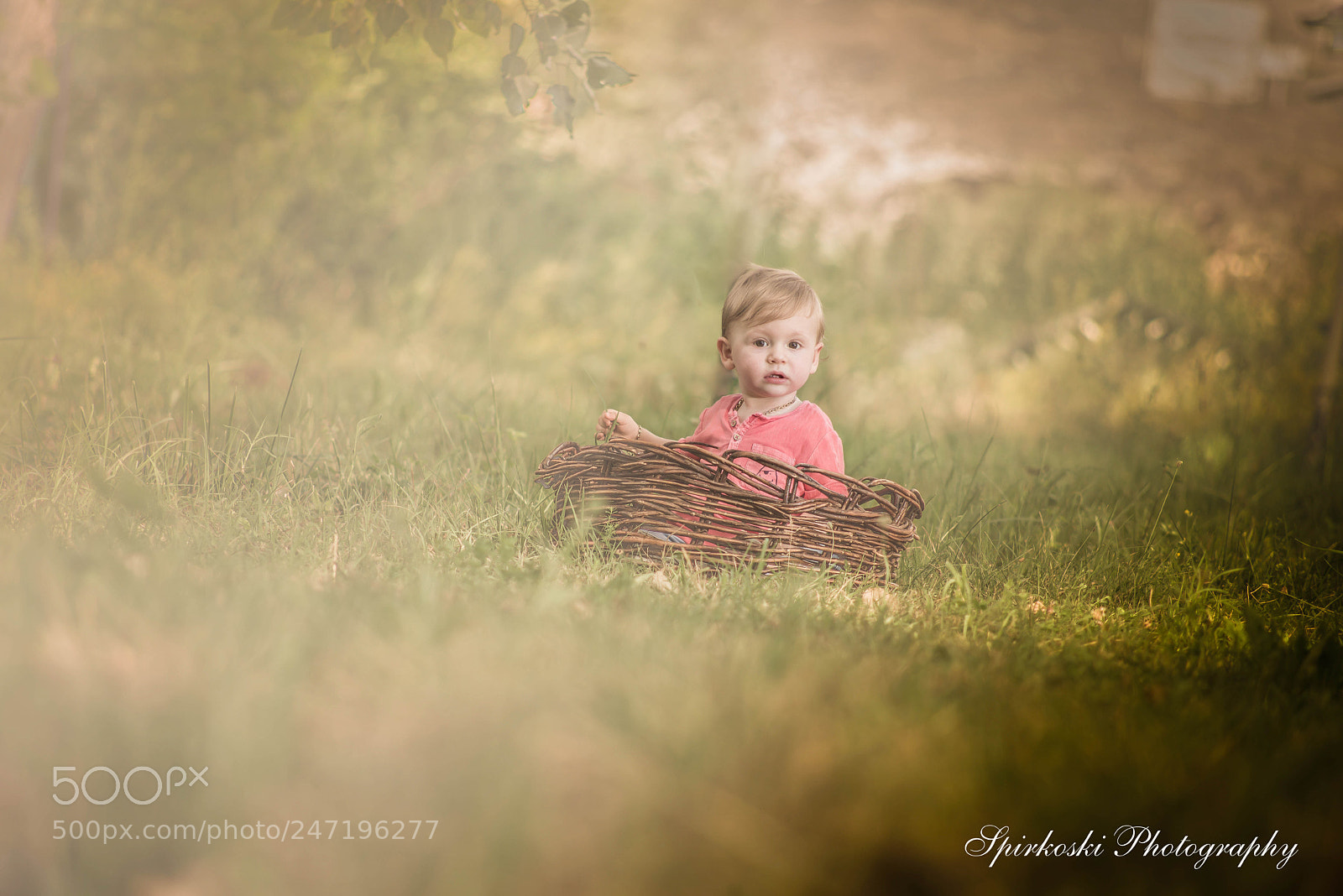 Nikon D610 sample photo. Child portrait photography