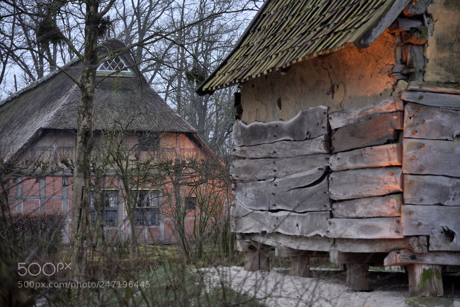 Nikon AF-S Nikkor 24-120mm F4G ED VR sample photo. 2018-02-17 bad zwischenahn morgen photography