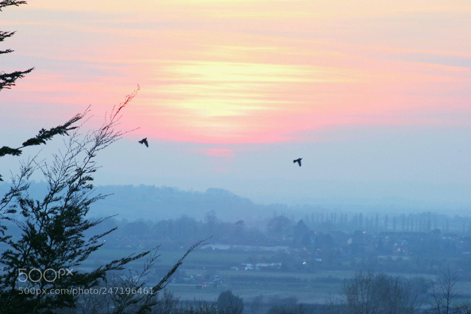 Canon EOS 550D (EOS Rebel T2i / EOS Kiss X4) sample photo. Homeward bound photography