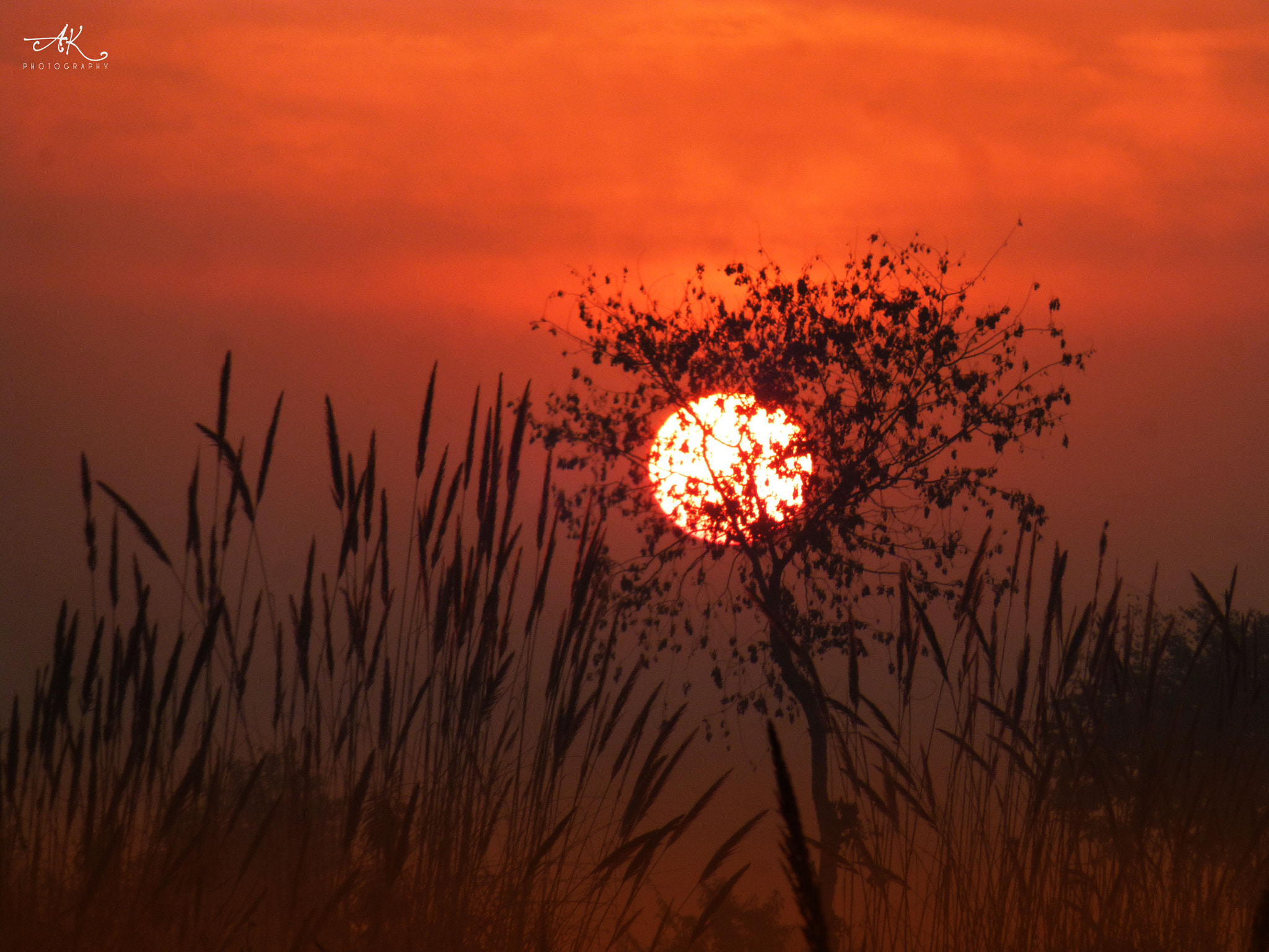 Panasonic Lumix DMC-ZS20 (Lumix DMC-TZ30) sample photo. Sun set photography