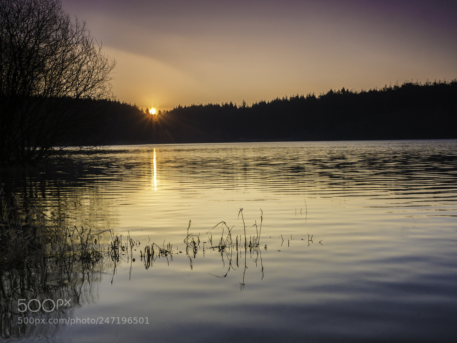 Panasonic Lumix DMC-GX7 sample photo. Sunrise at wistlandpound reservoir photography