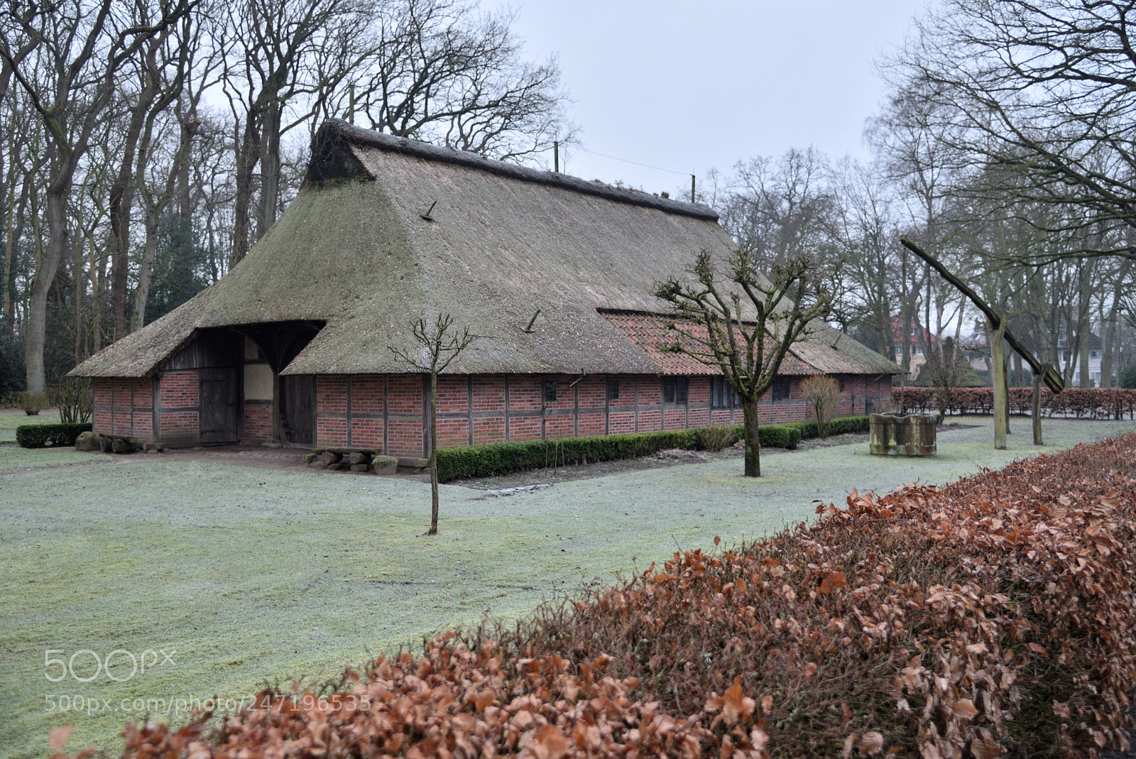 Nikon AF-S Nikkor 24-120mm F4G ED VR sample photo. 2018-02-17 bad zwischenahn morgen photography