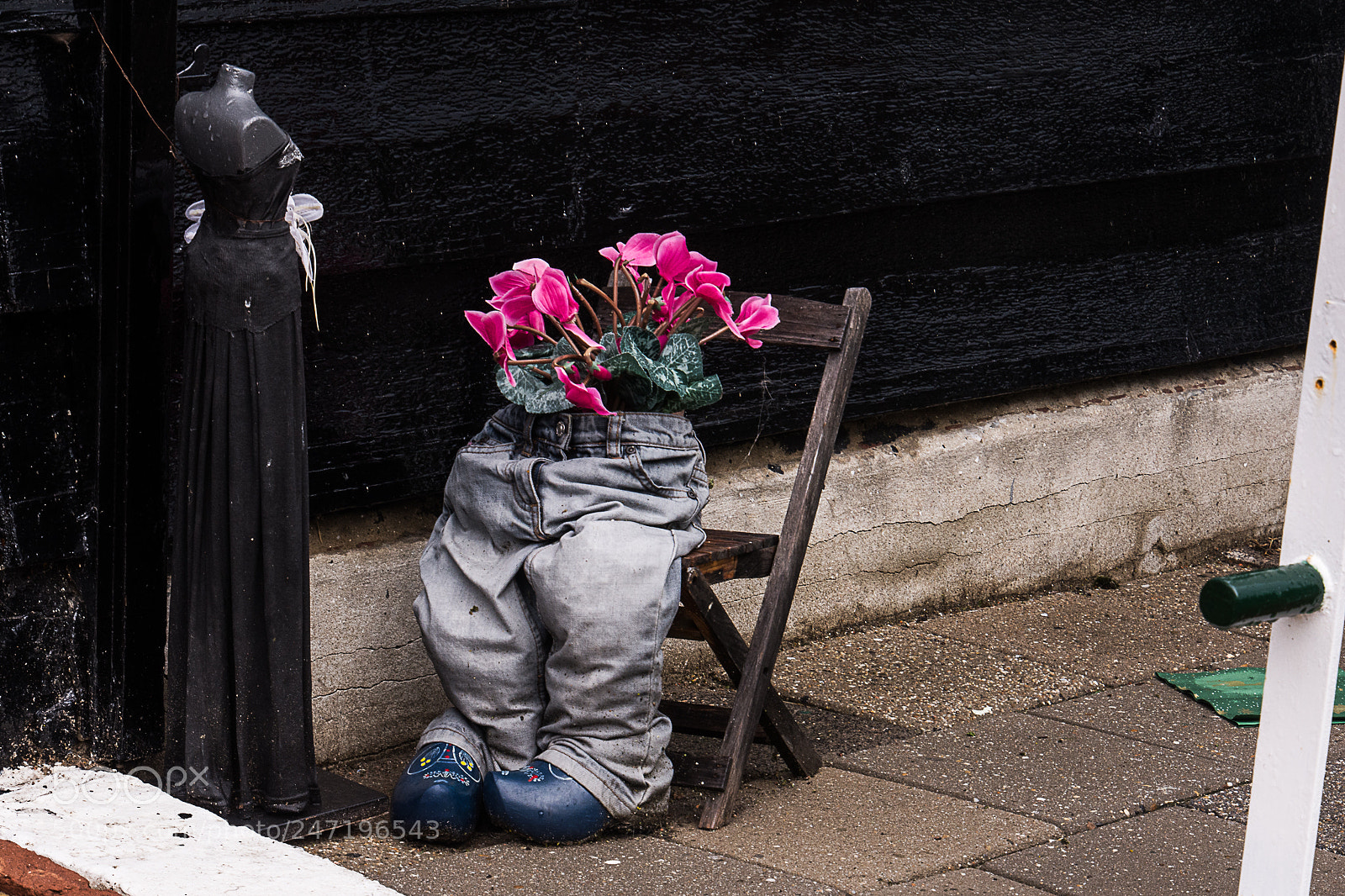 Nikon D7200 sample photo. Marken's humor photography