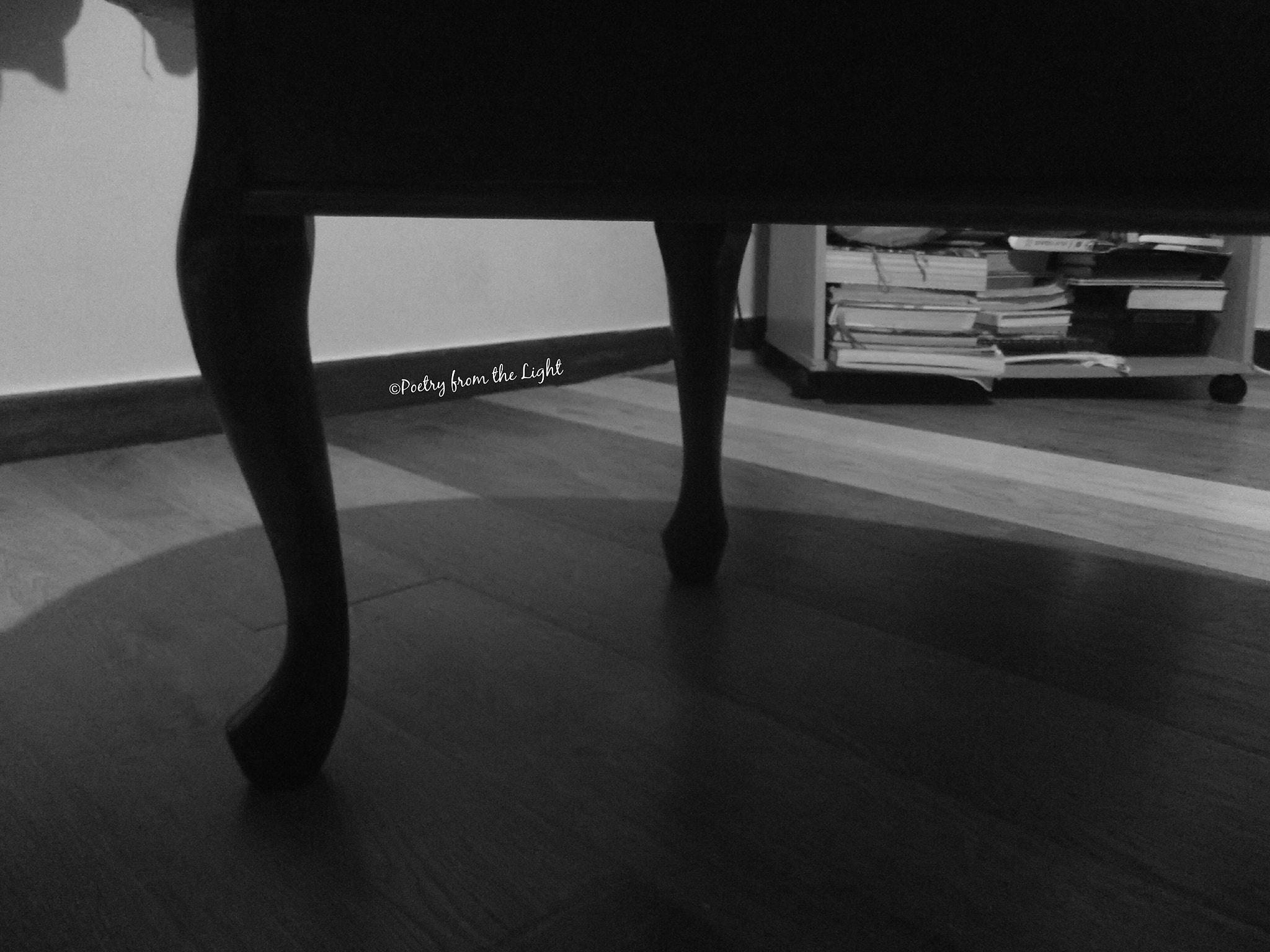 Fujifilm FinePix T350 sample photo. Just a "pair of legs" photography