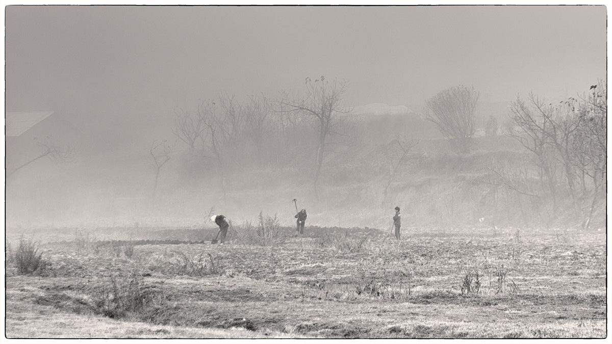 Pentax K-m (K2000) sample photo. Farming photography