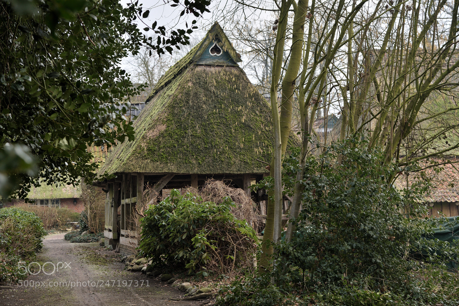 Nikon AF-S Nikkor 24-120mm F4G ED VR sample photo. 2018-02-17 bad zwischenahn morgen photography
