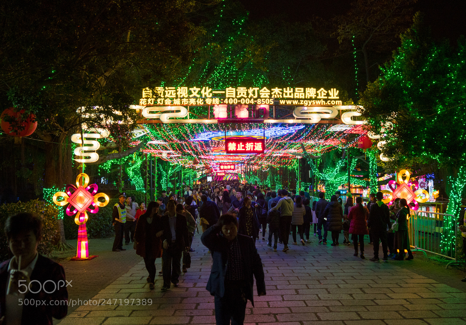 Sony a99 II sample photo. Dsc06076-1.jpg photography