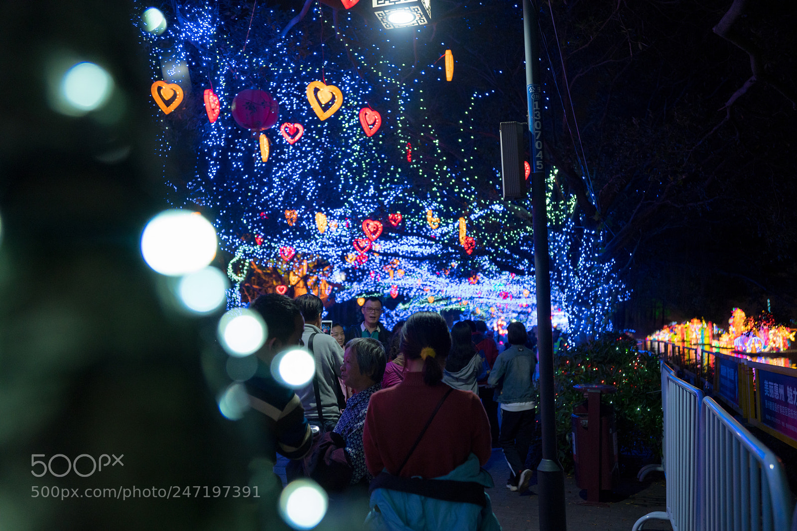 Sony a99 II sample photo. Dsc06074-1.jpg photography