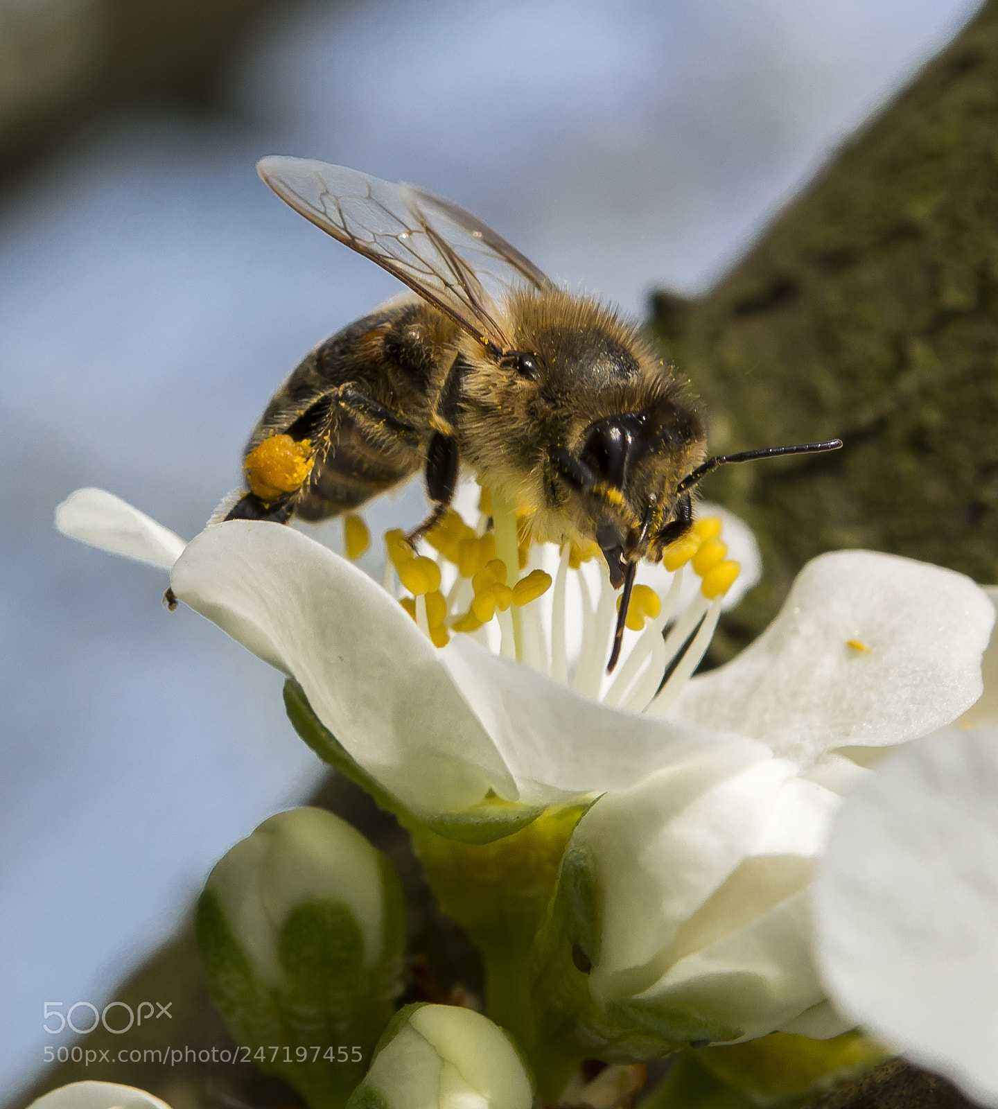 Nikon D800 sample photo. Best job in the photography