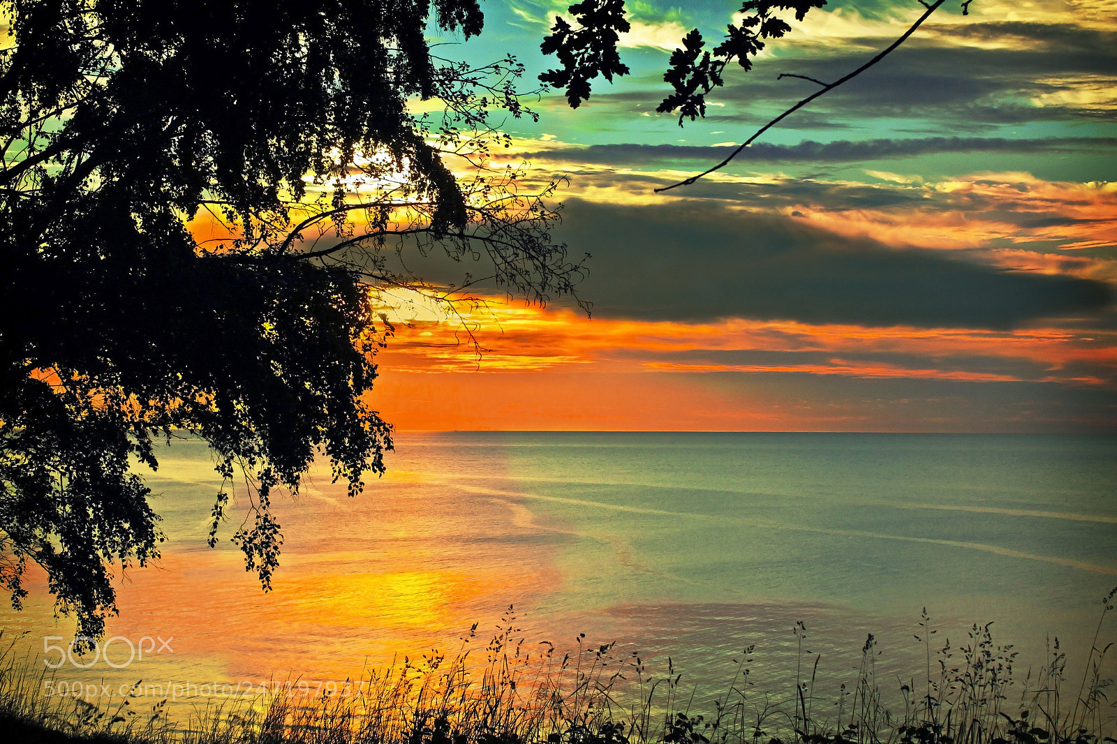 Canon EOS 50D sample photo. Untitled photography