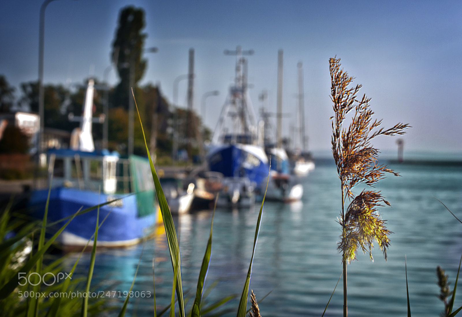 Canon EOS 50D sample photo. Untitled photography