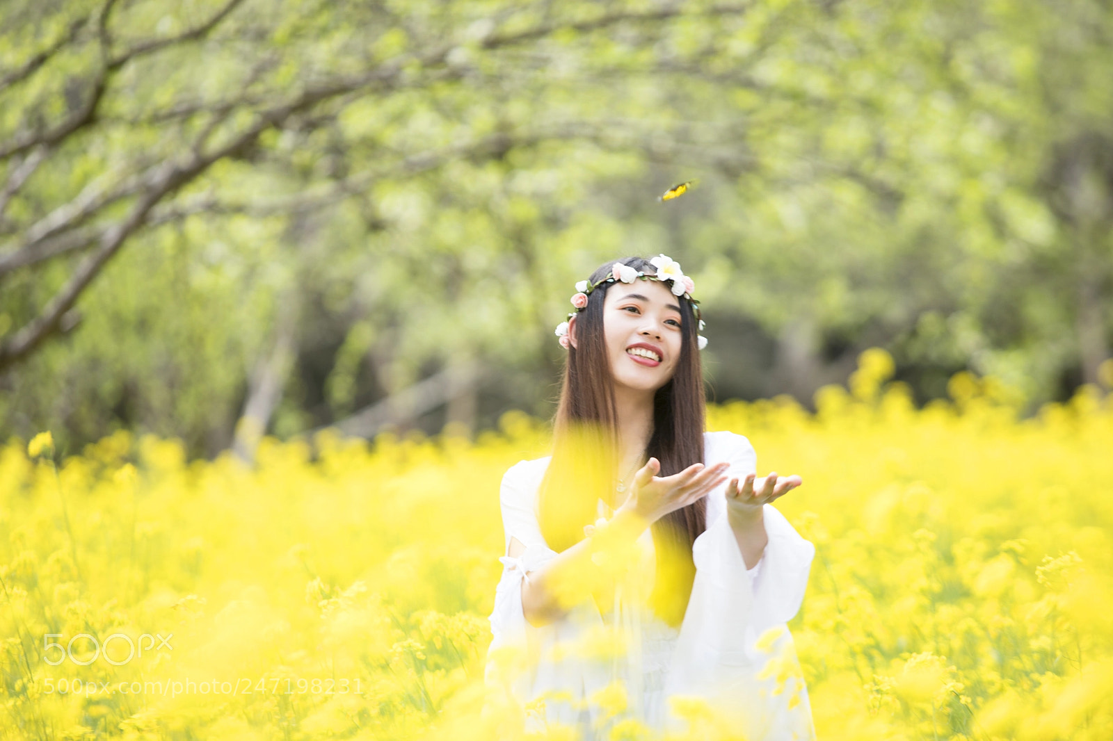 Canon EOS 6D Mark II sample photo. 蝶恋花 photography