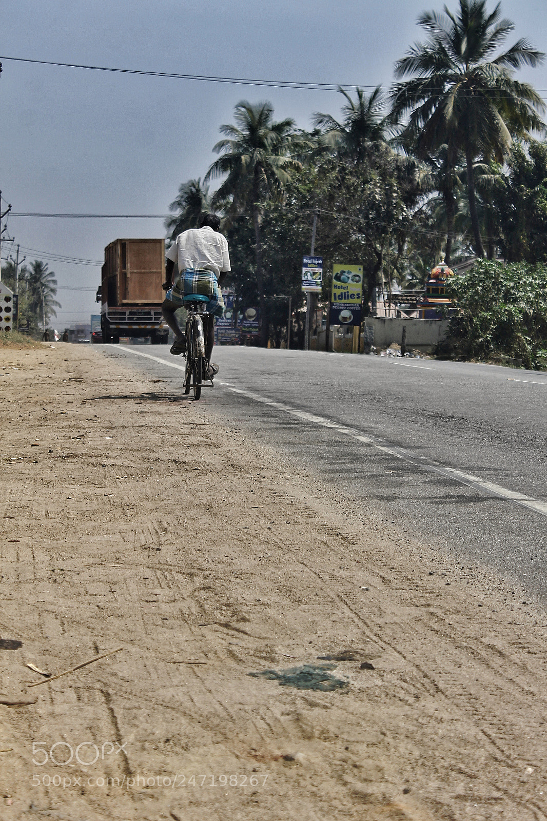 Canon EOS 1100D (EOS Rebel T3 / EOS Kiss X50) sample photo. The hard worker photography