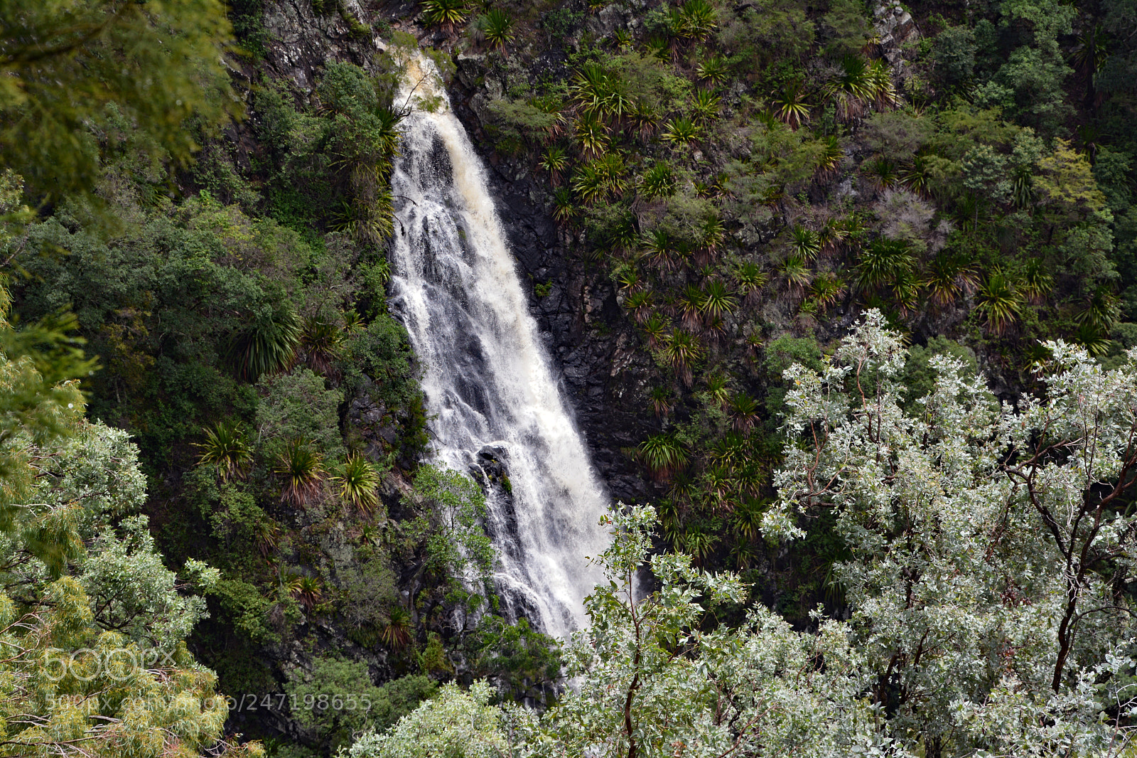 Nikon D5200 sample photo. Gap creek waterfall photography
