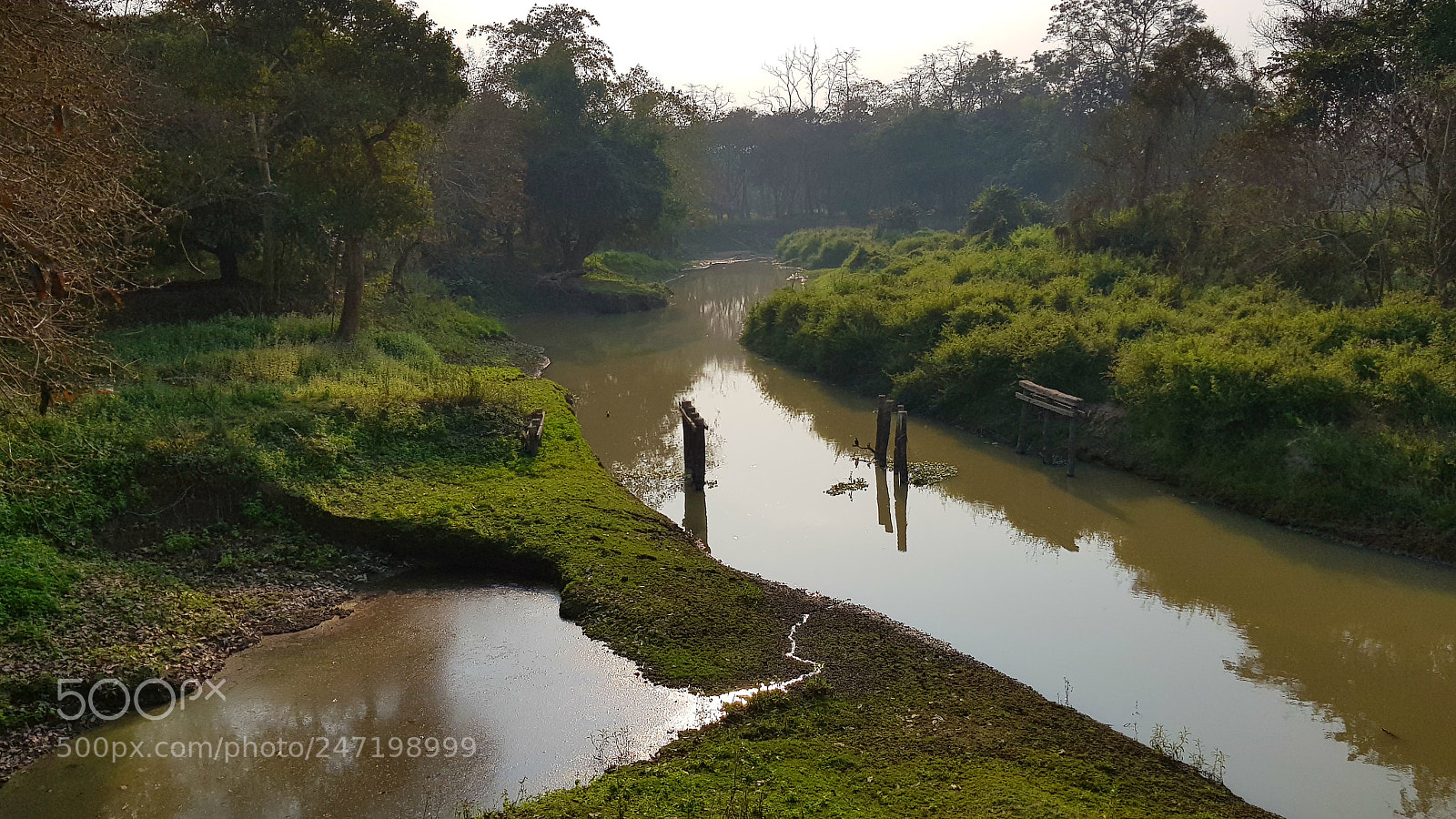 Samsung Galaxy S8+ sample photo. Ecosystem bliss photography