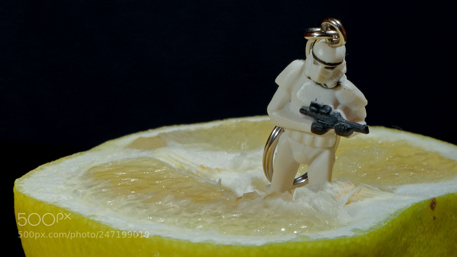 Canon EOS 80D sample photo. Grapefruit wars photography