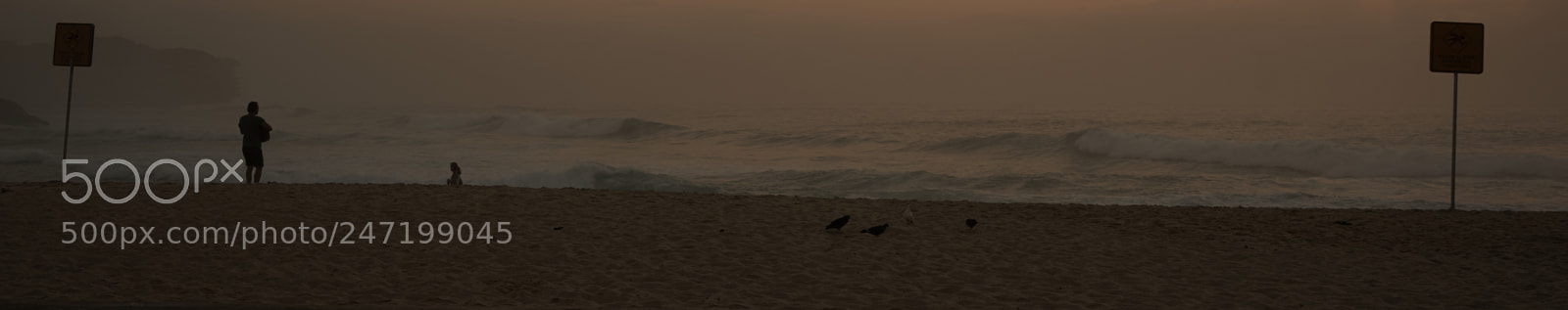 Sony a7 sample photo. Oz photography
