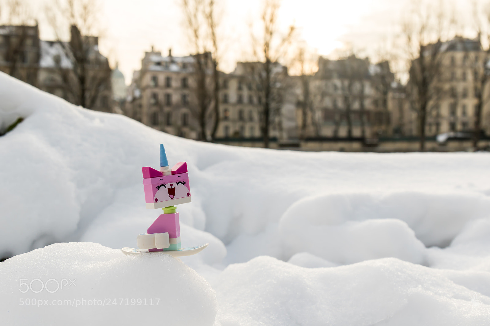 Canon EOS 7D Mark II sample photo. Unikitty loves the snow photography