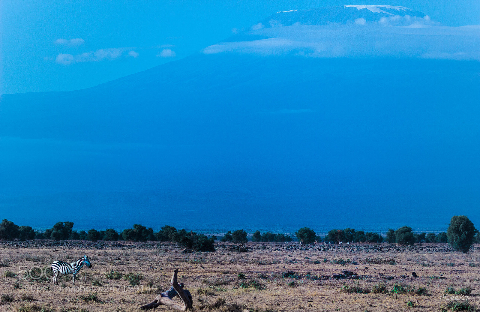 Canon EOS 100D (EOS Rebel SL1 / EOS Kiss X7) sample photo. The zebra & the mountain photography