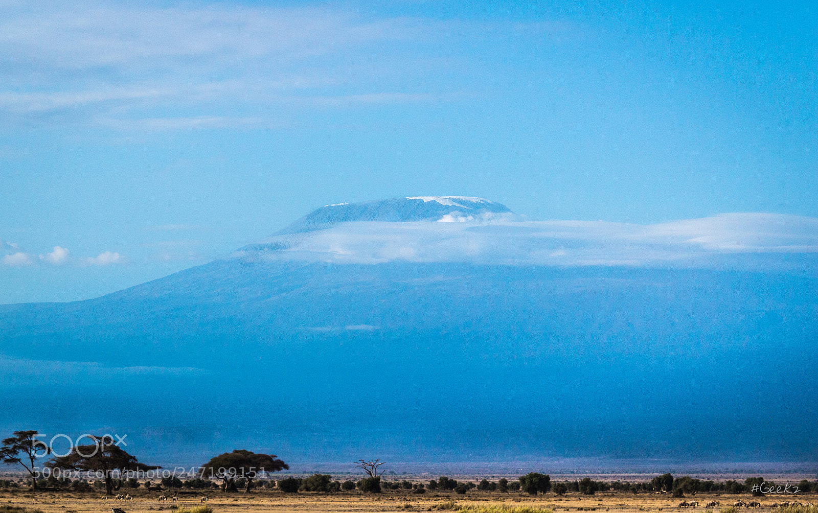 Canon EOS 100D (EOS Rebel SL1 / EOS Kiss X7) sample photo. Mount kilimanjaro at your photography