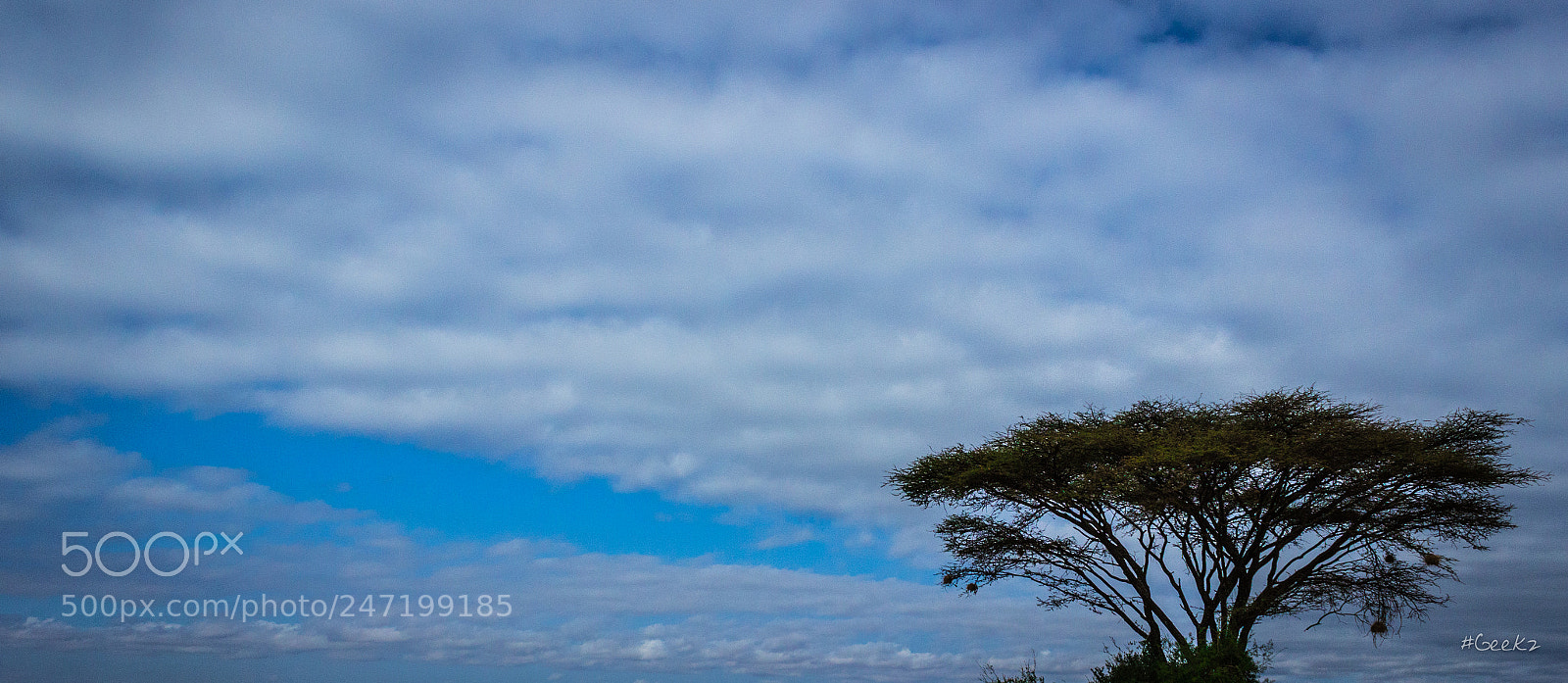 Canon EOS 100D (EOS Rebel SL1 / EOS Kiss X7) sample photo. Blurry, blurry skies...!? photography