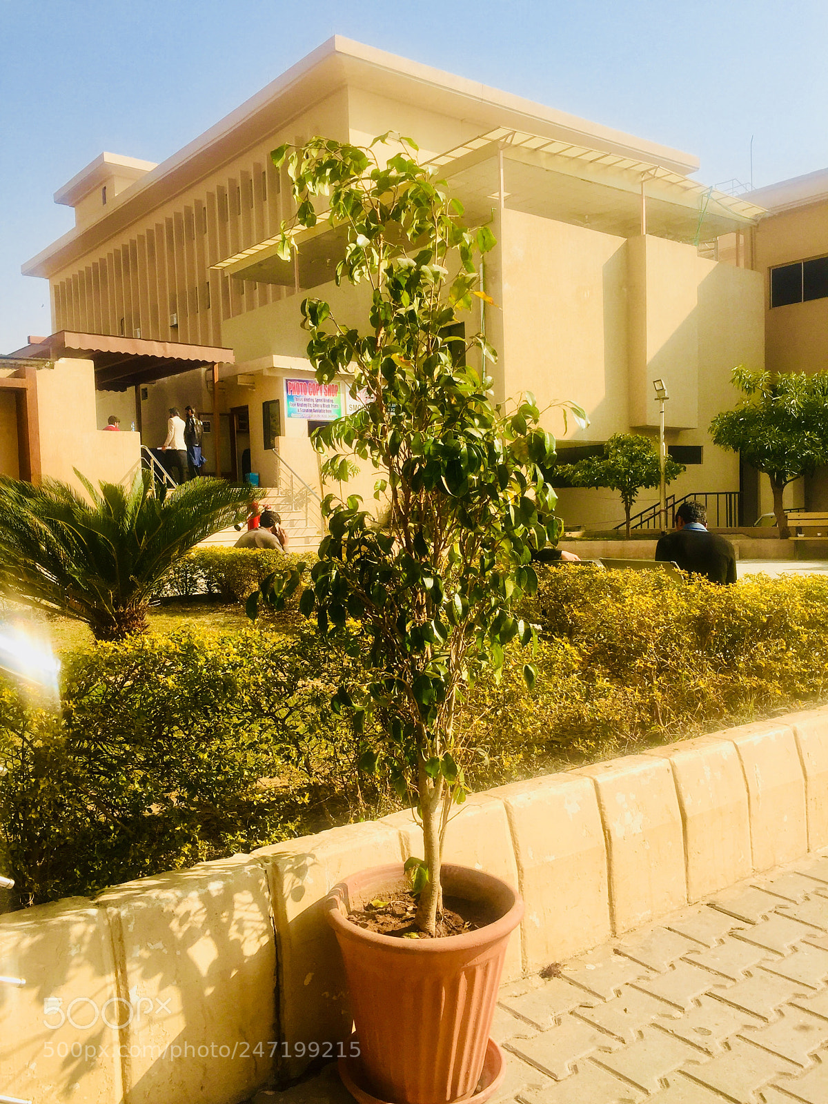 Apple iPhone 6 sample photo. Untitled photography