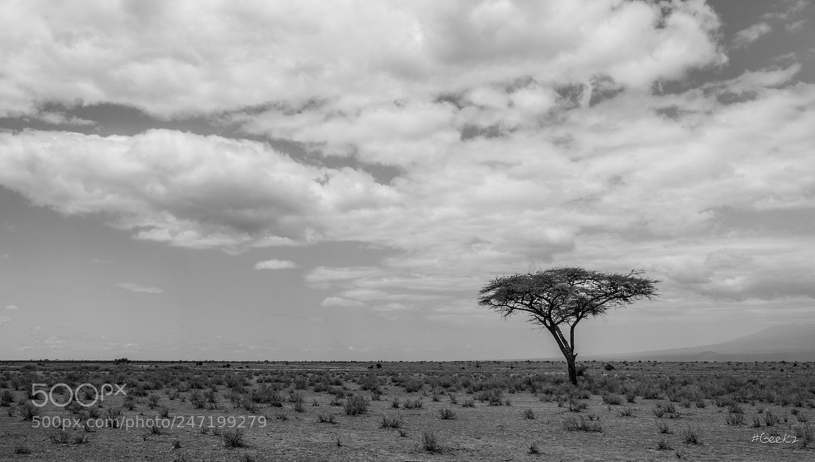 Canon EOS 100D (EOS Rebel SL1 / EOS Kiss X7) sample photo. A lonely tree... photography