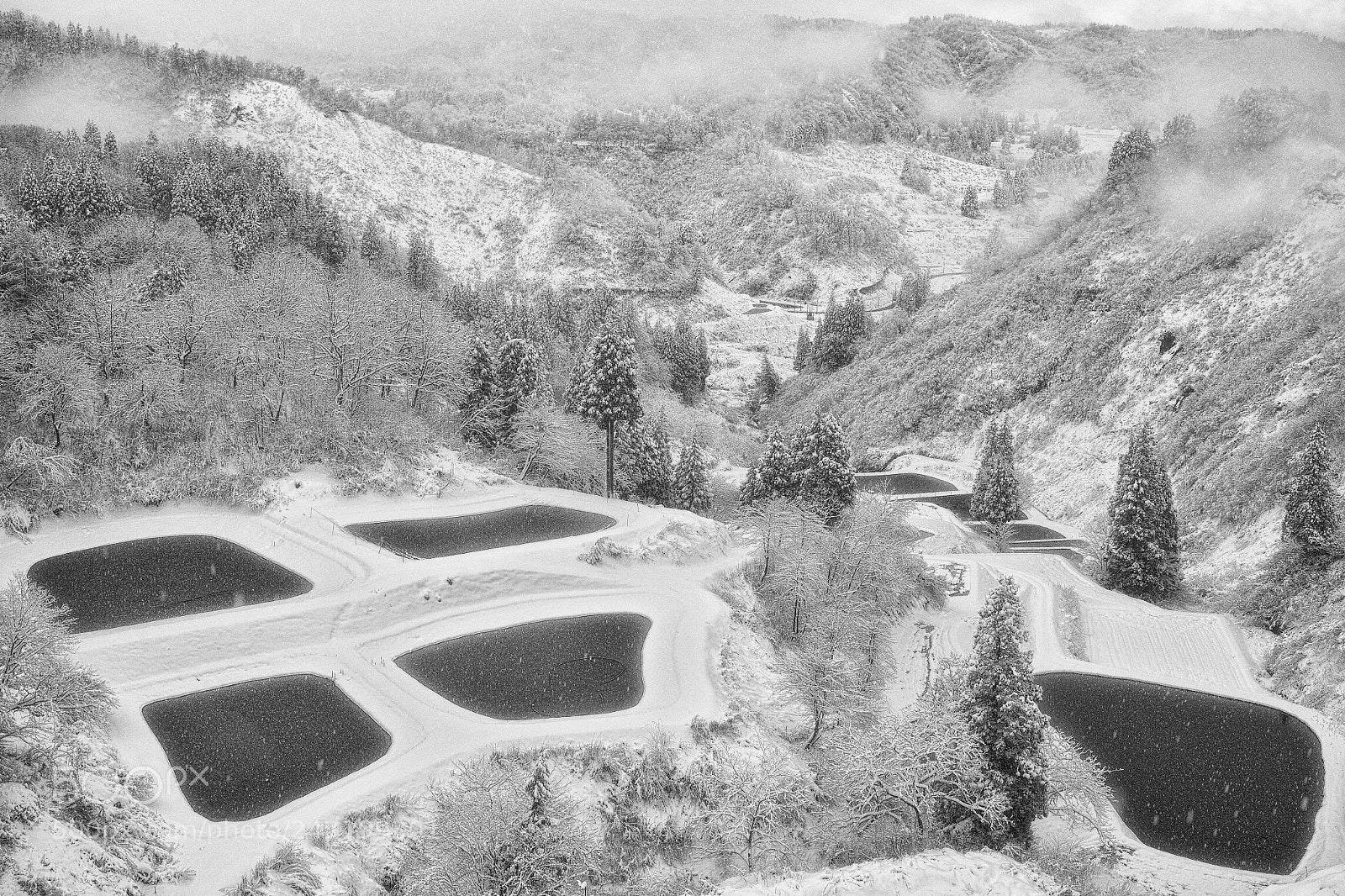 Sigma DP2 Merrill sample photo. Snow photography