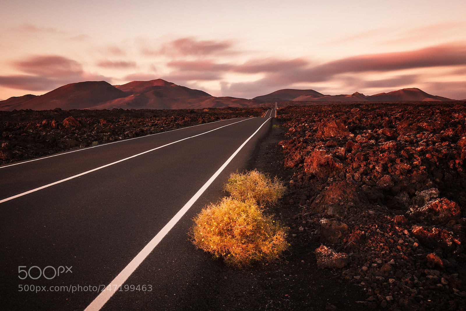 Canon EOS 5DS R sample photo. [timanfaya road...] photography