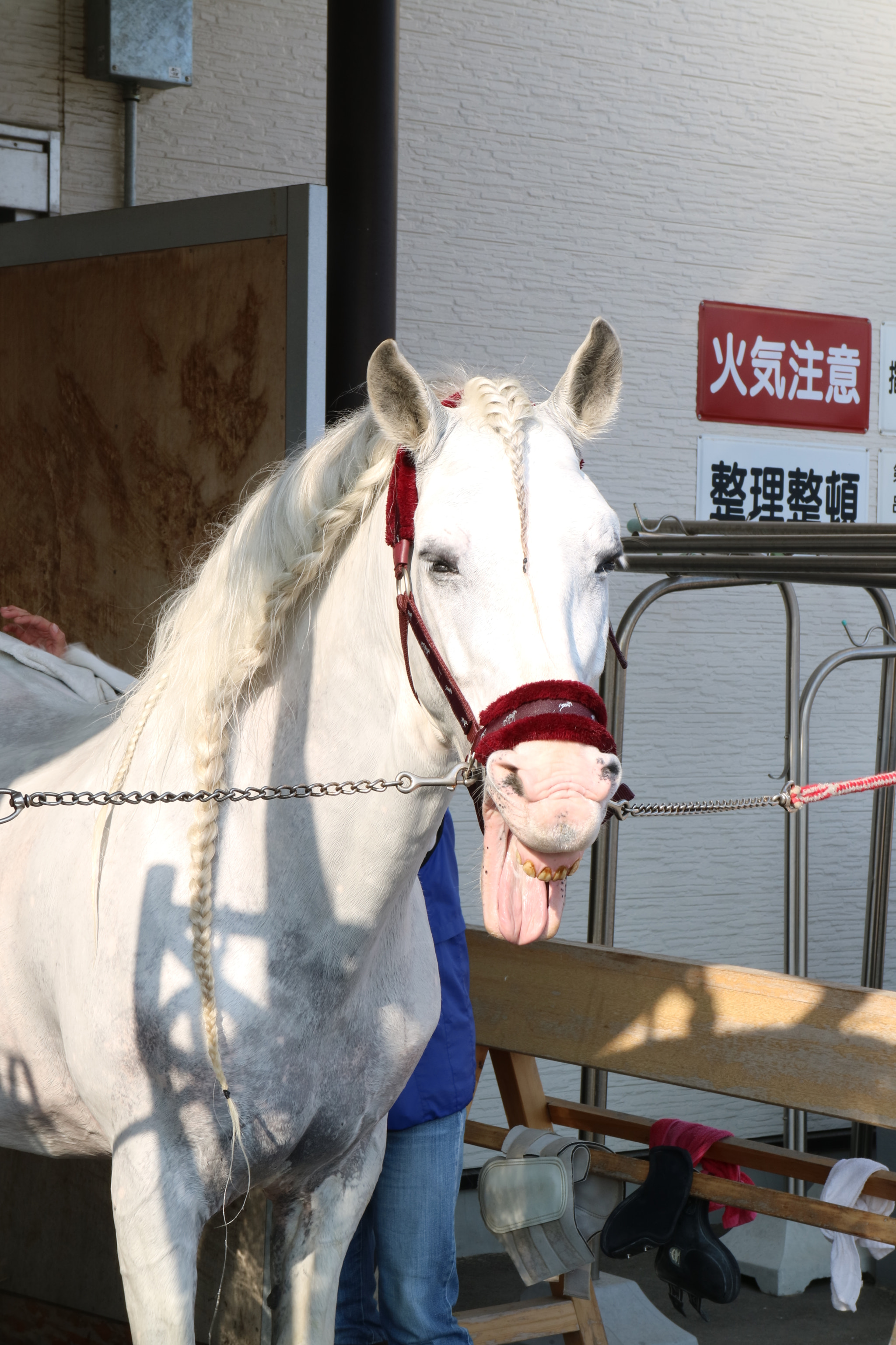 Canon EOS M3 sample photo. Got irritated photography