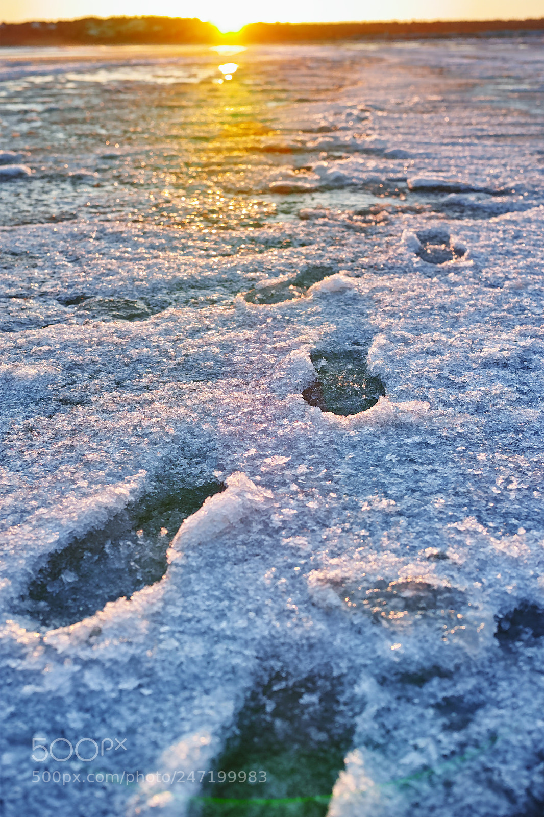 Sigma dp2 Quattro sample photo. Footprints in the sand photography