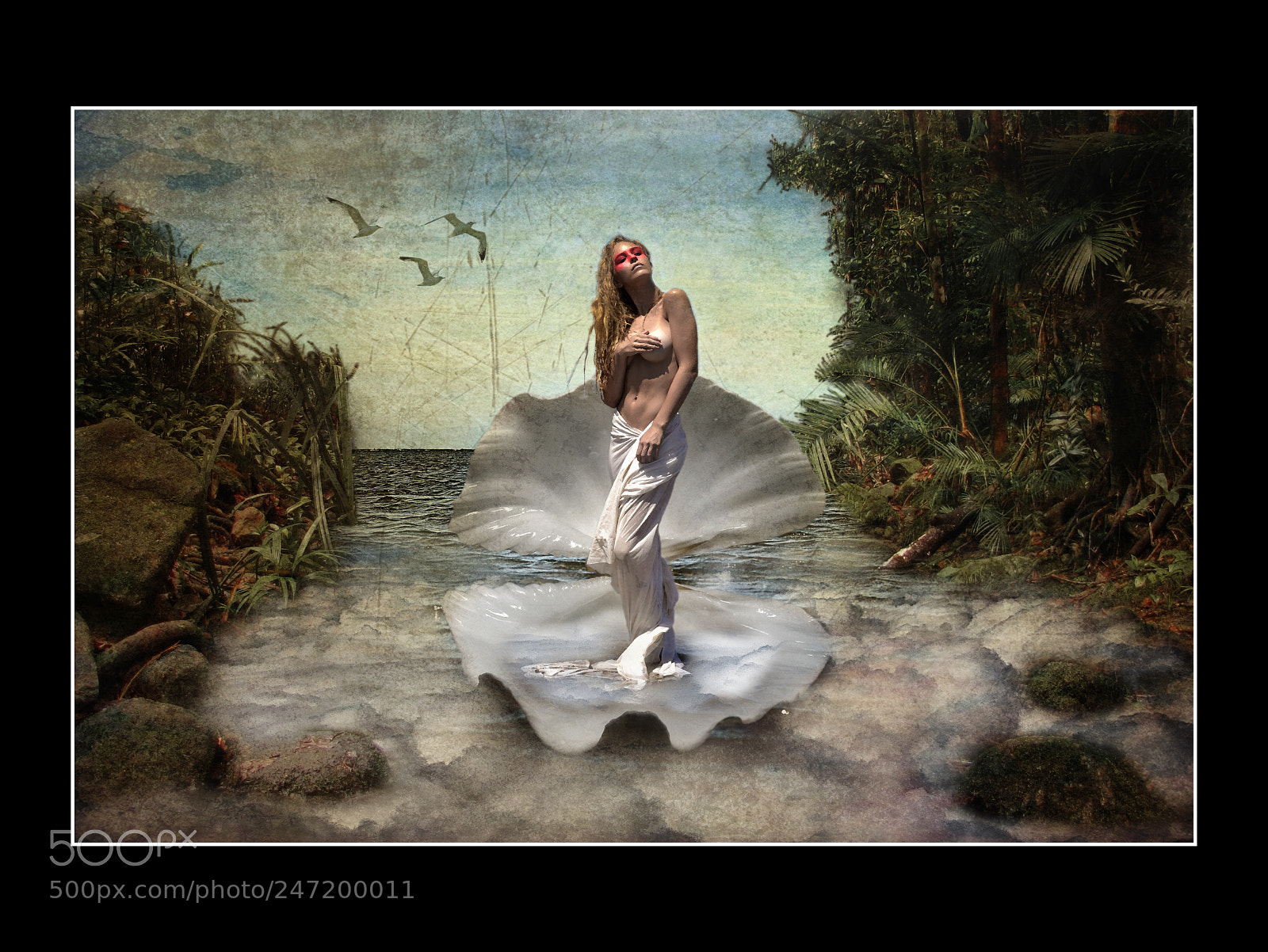 Nikon D3100 sample photo. Tropical venus photography