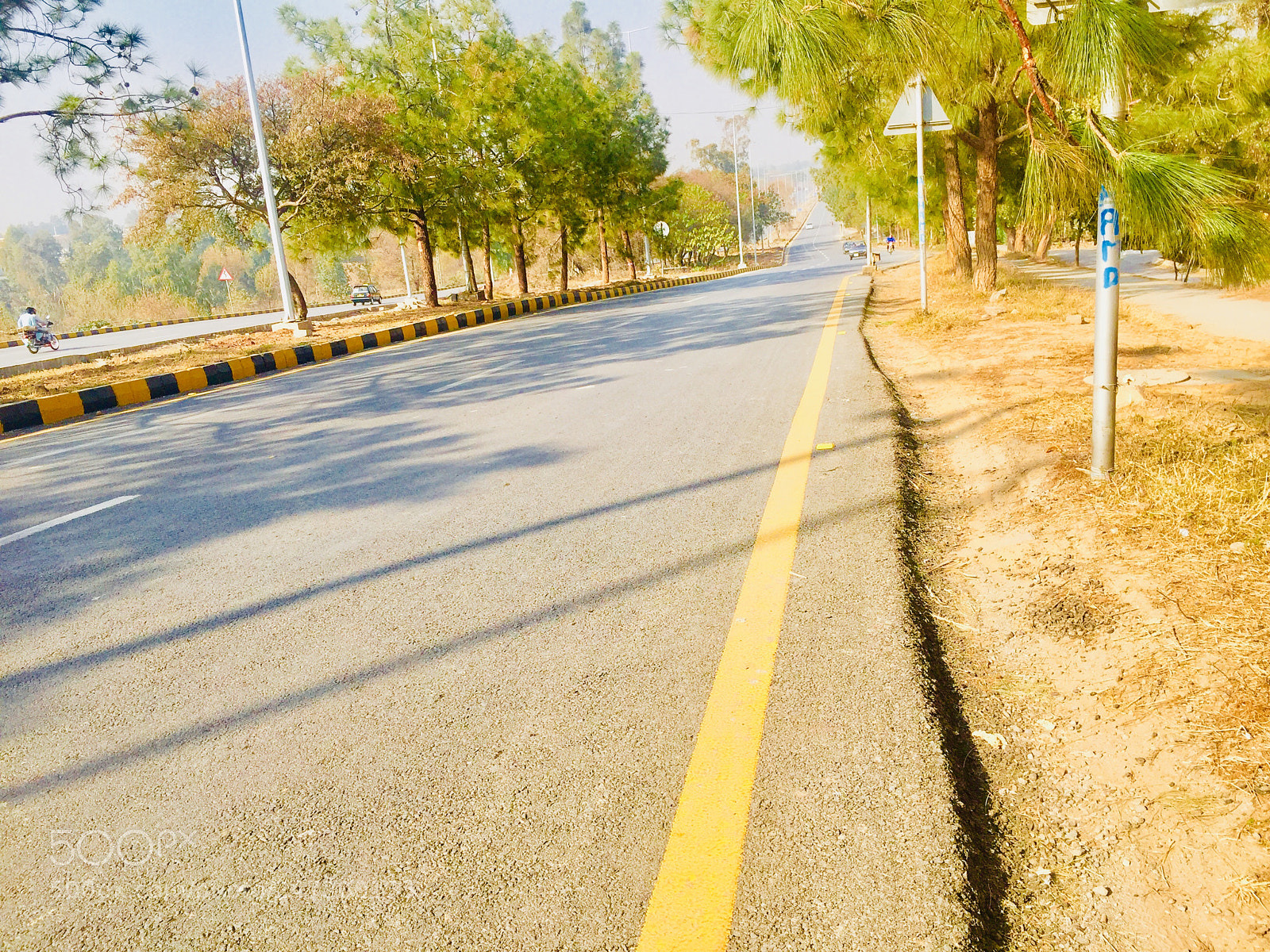 Apple iPhone 6 sample photo. Untitled photography