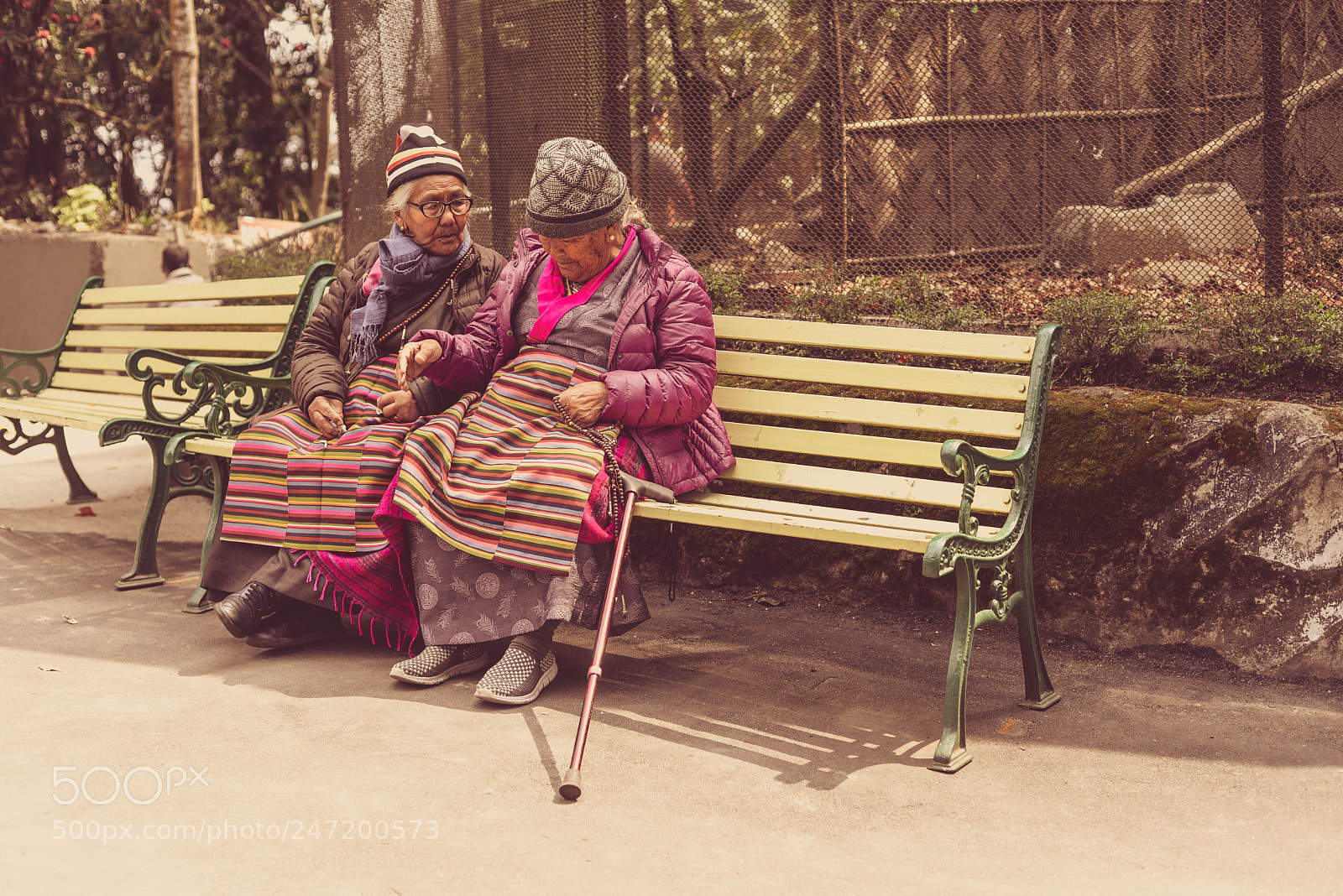 Nikon D610 sample photo. The companion, darjeeling,west bengal photography
